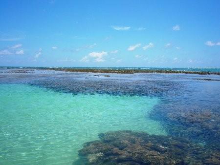 Carneiros Beach Resort - Flat 2 Quartos