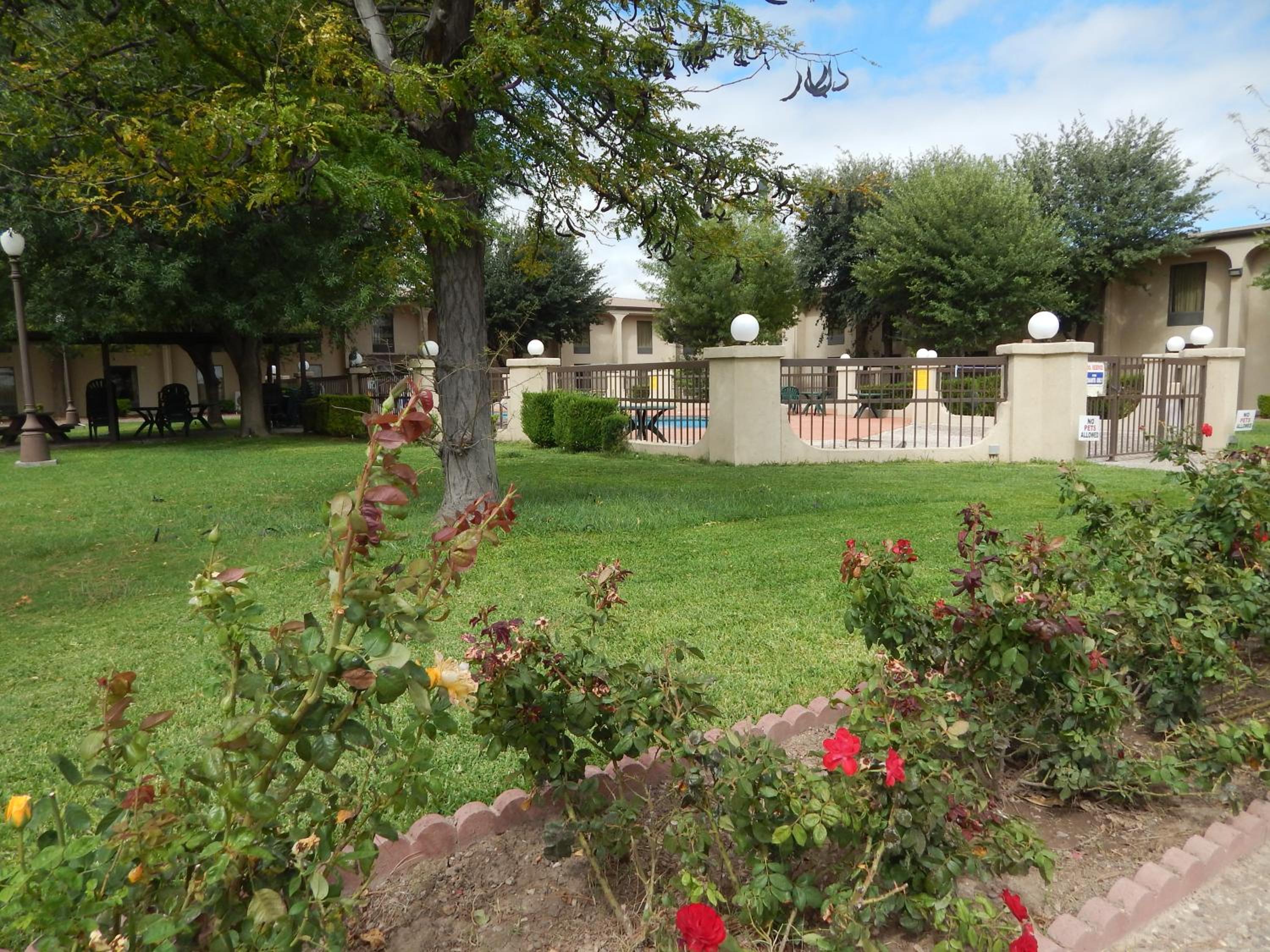 Photo 40