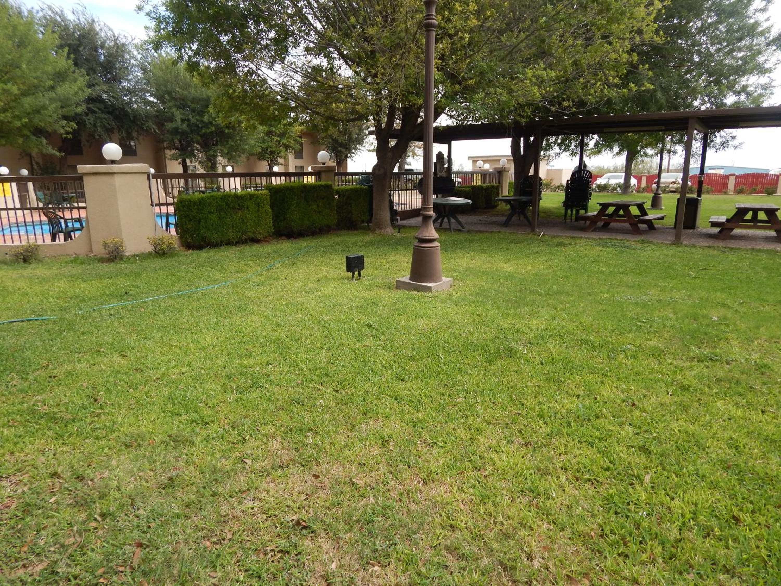 Photo 44