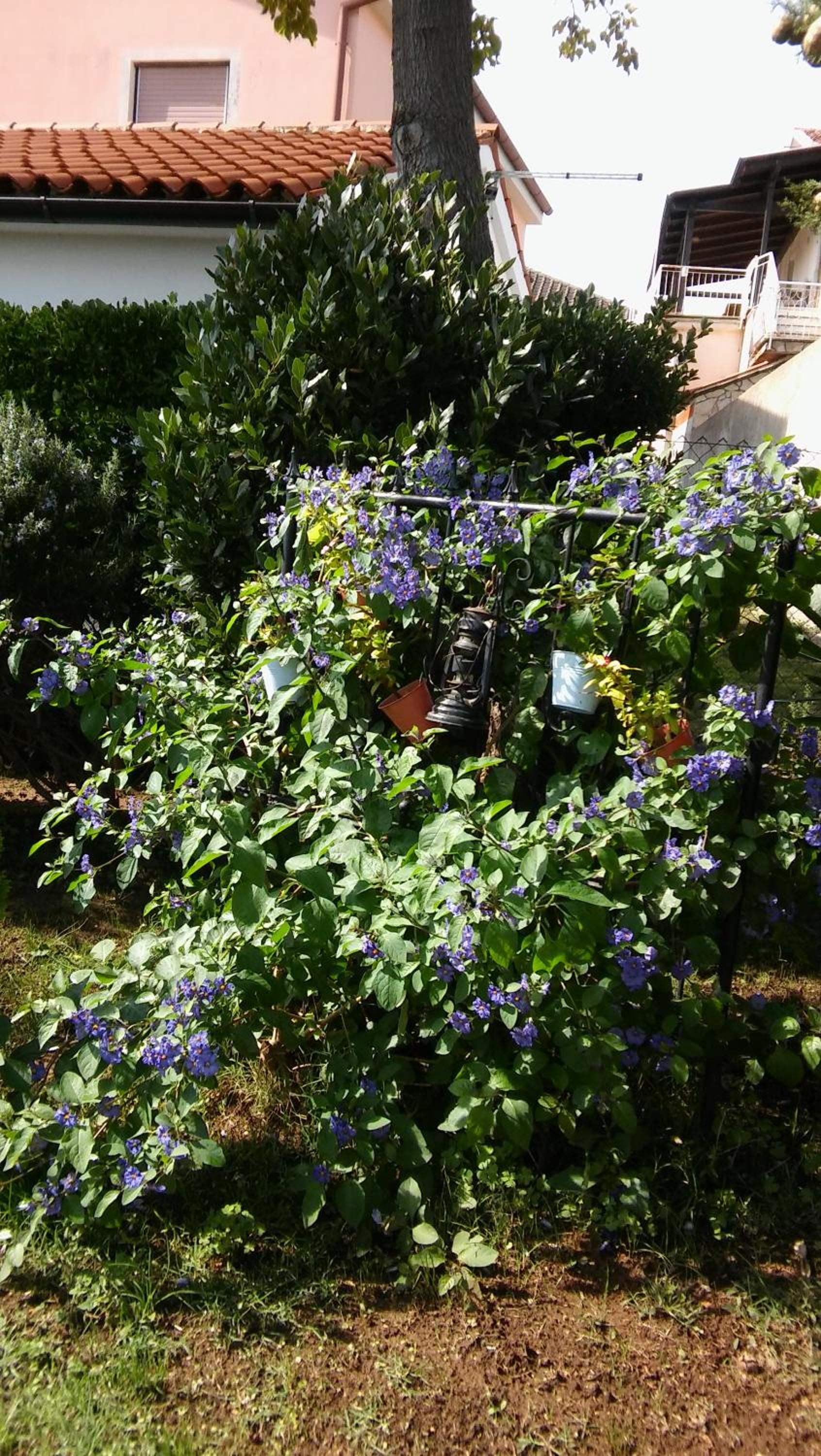Photo 42