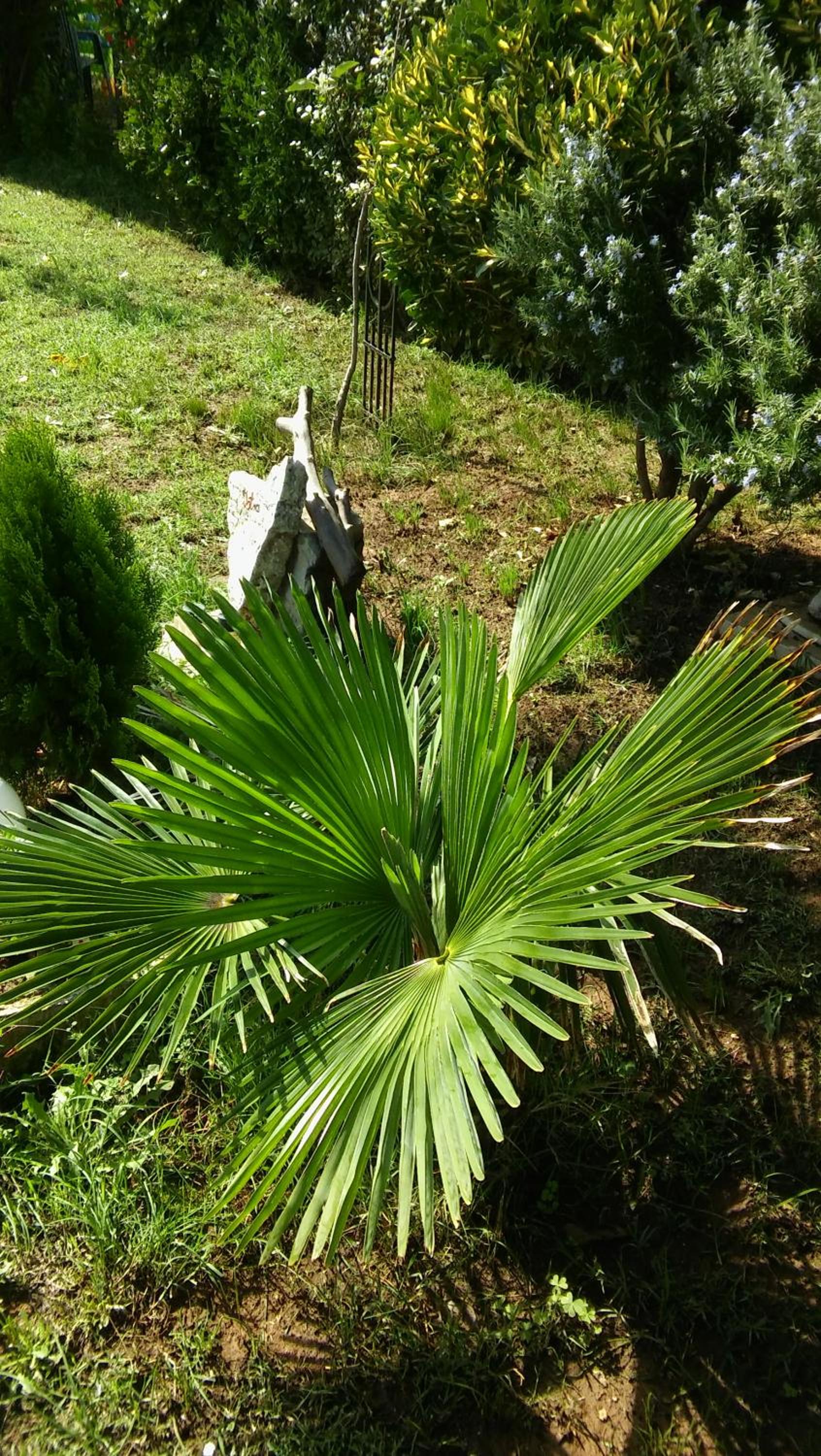 Photo 41