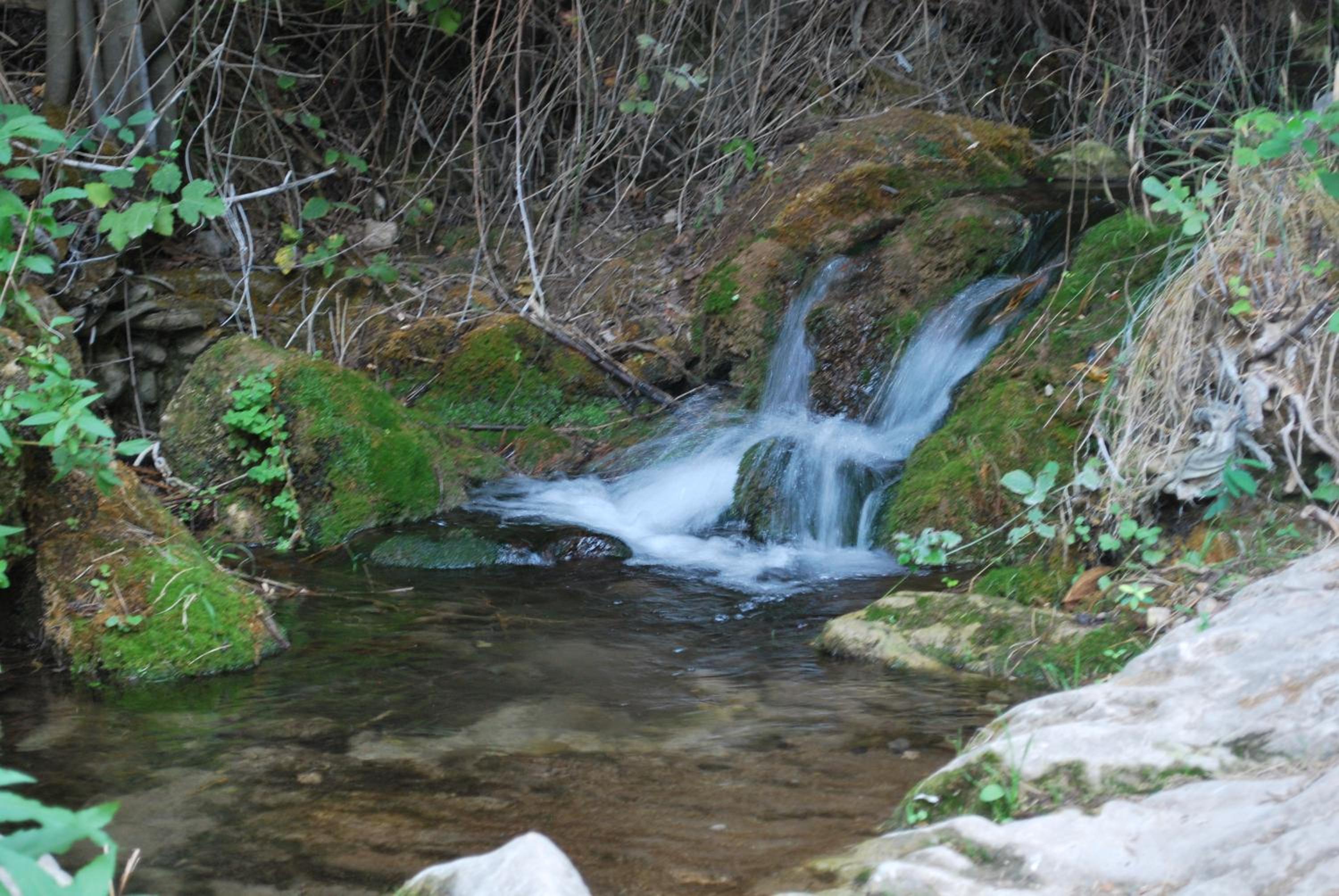 other