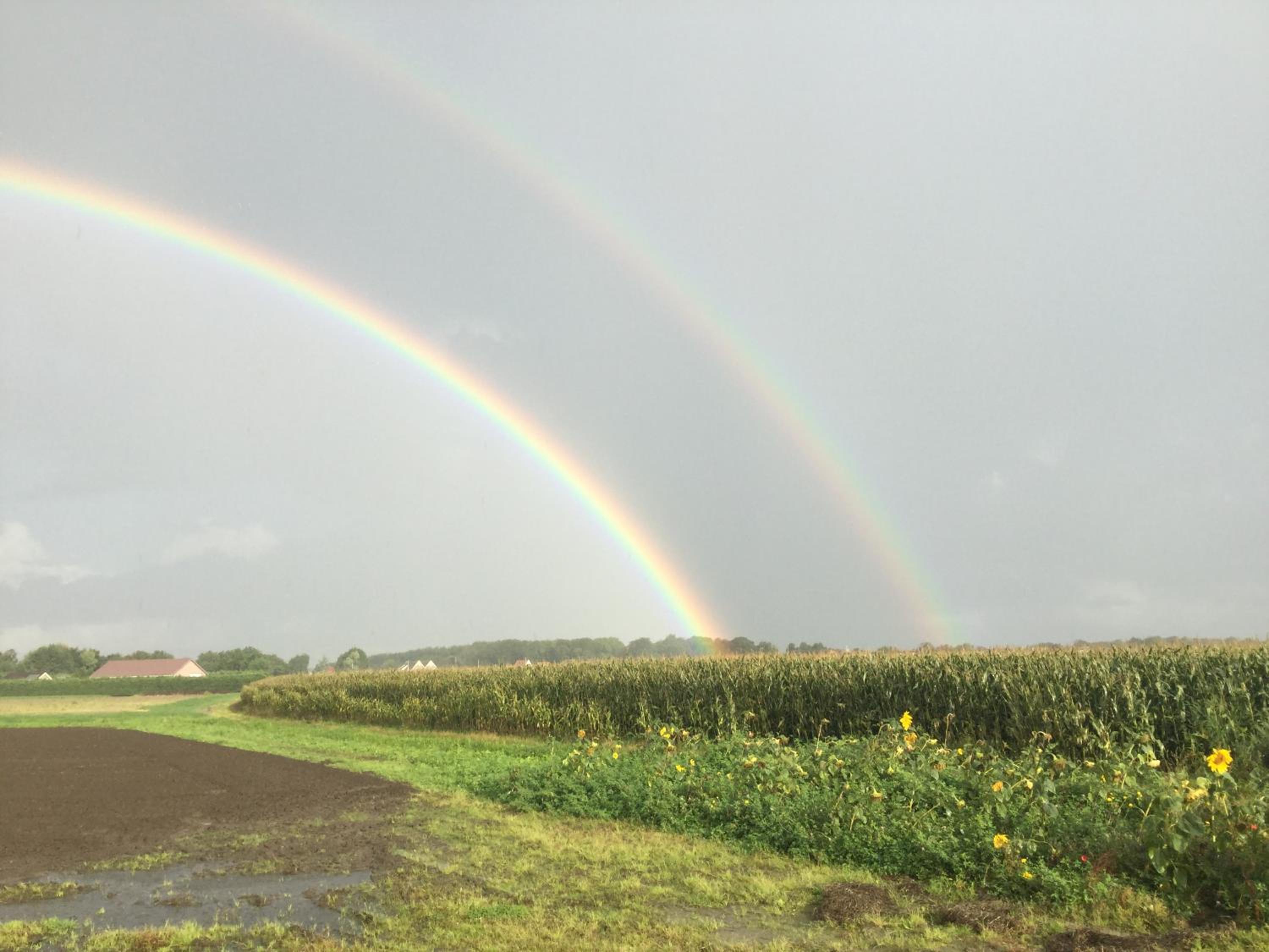 Vrijstaande blokhut, photo 19
