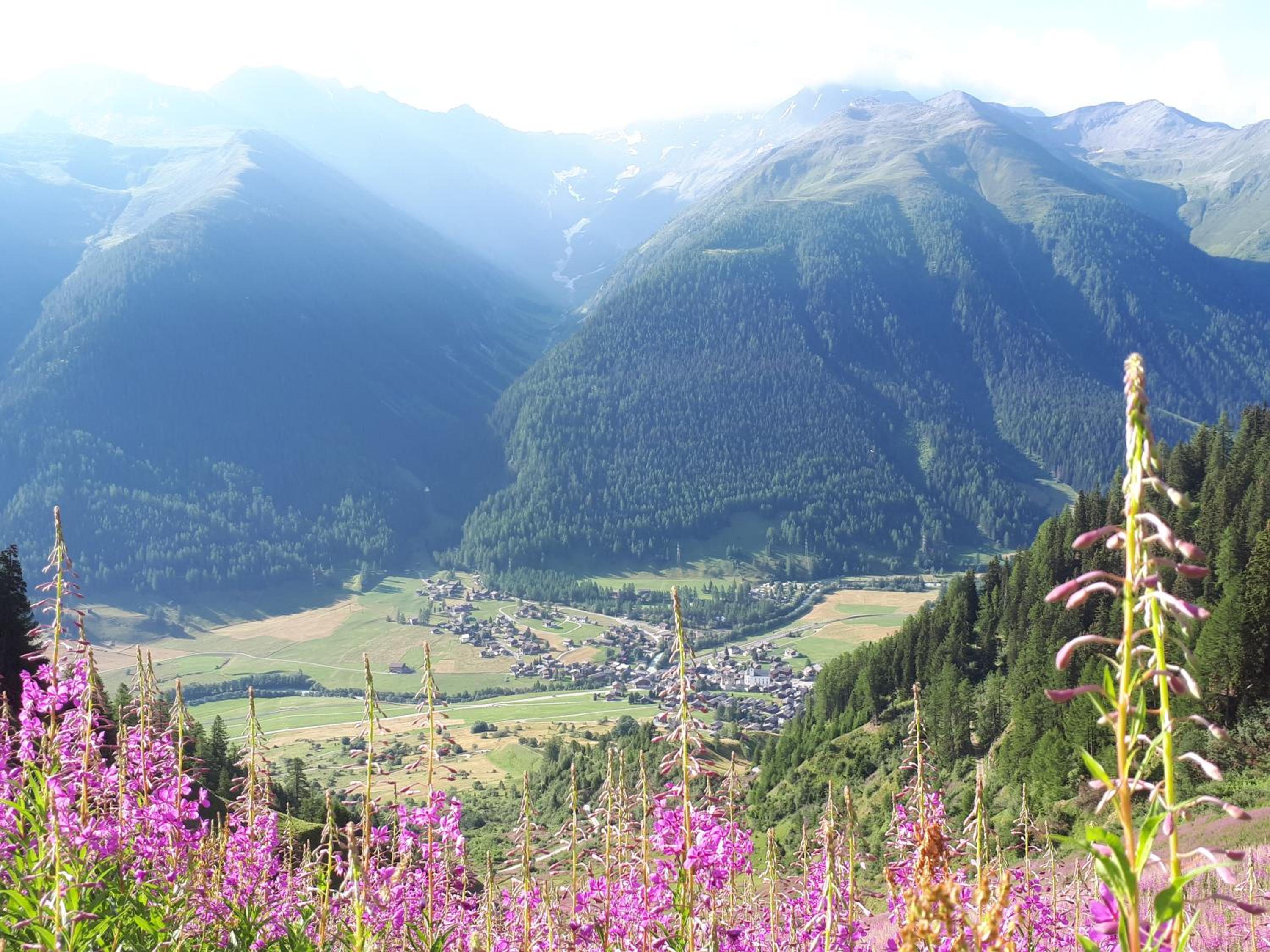Alpensonne