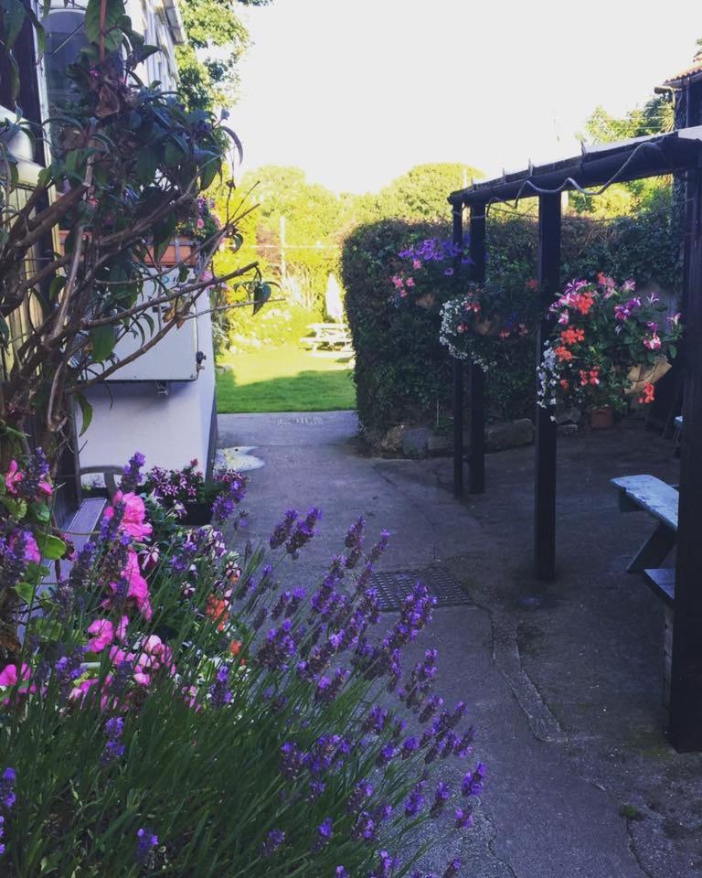 The Badger Inn view 3