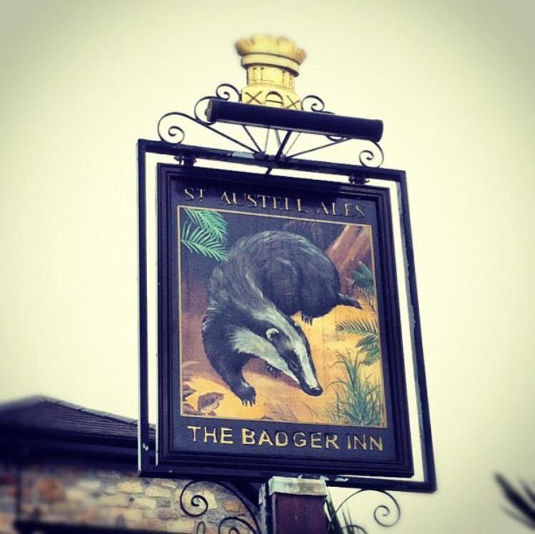 The Badger Inn view 4