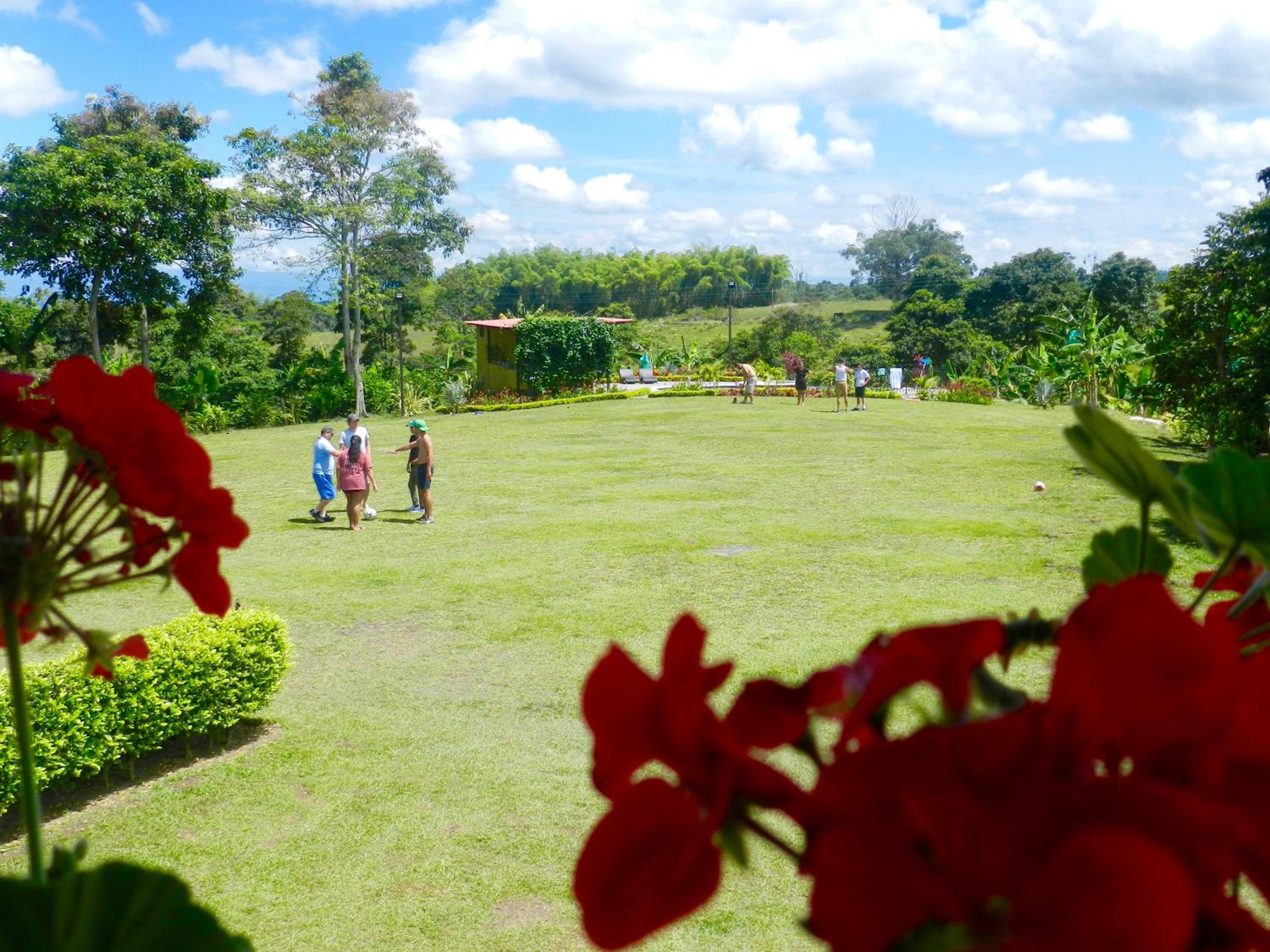 Finca La Bambusa