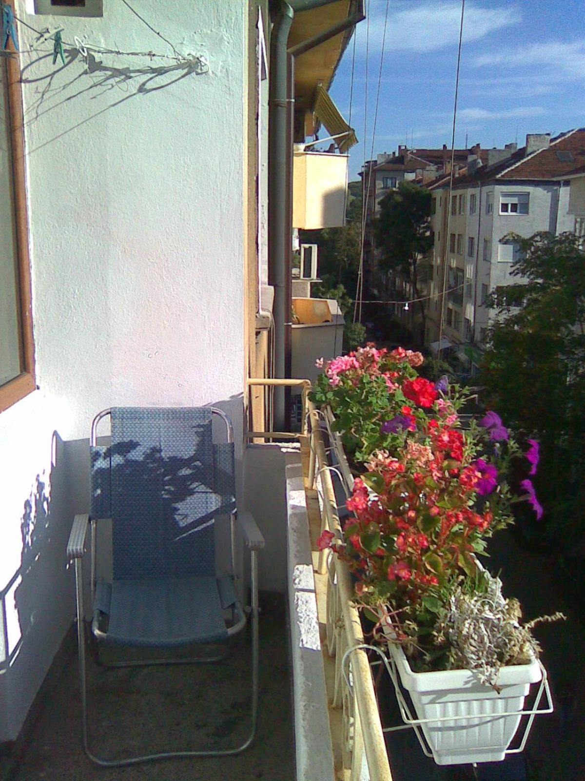 Photo 33