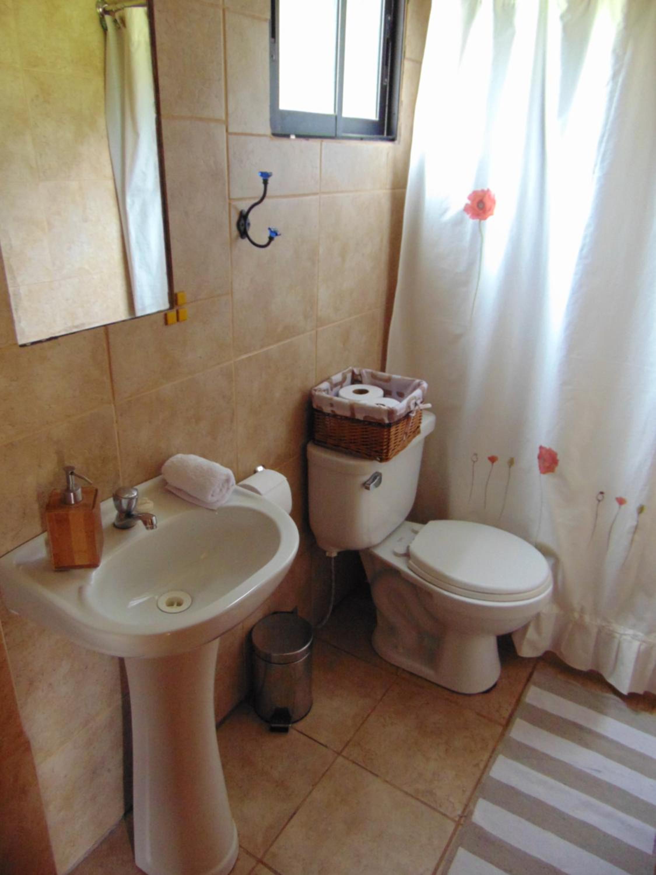 Photo 45