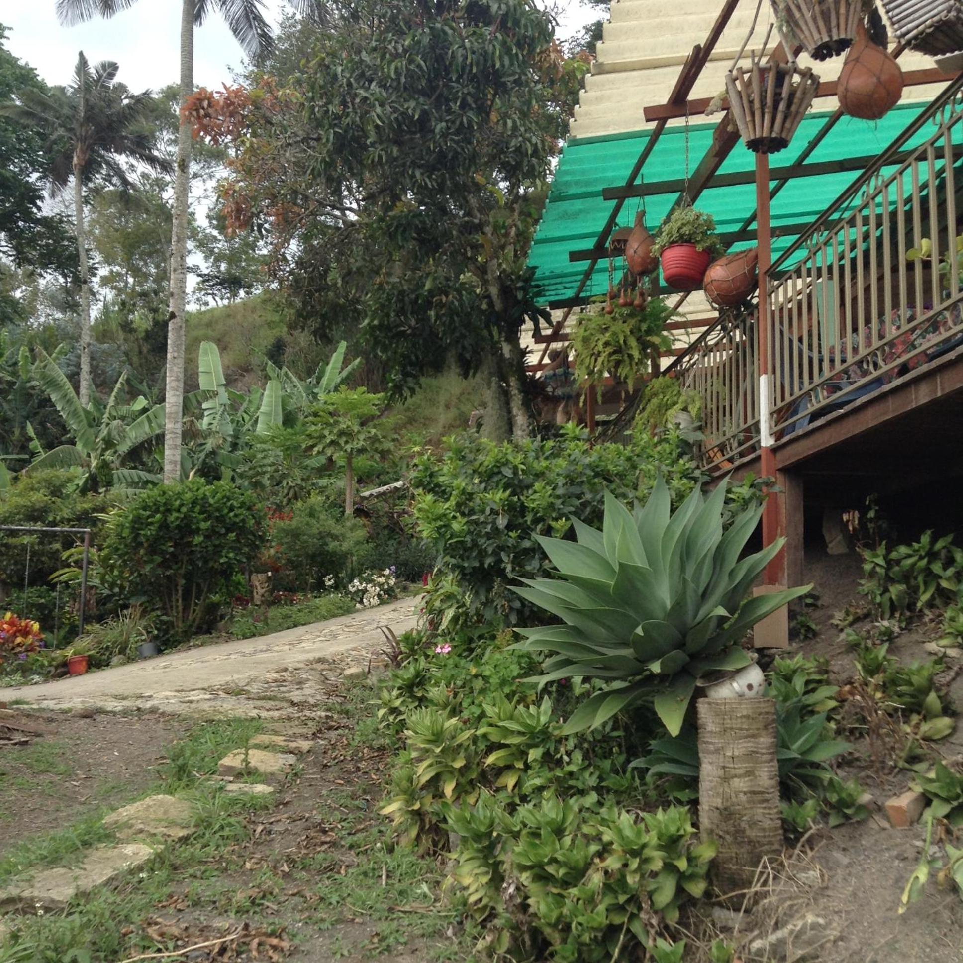 El Girasol alojamiento rural