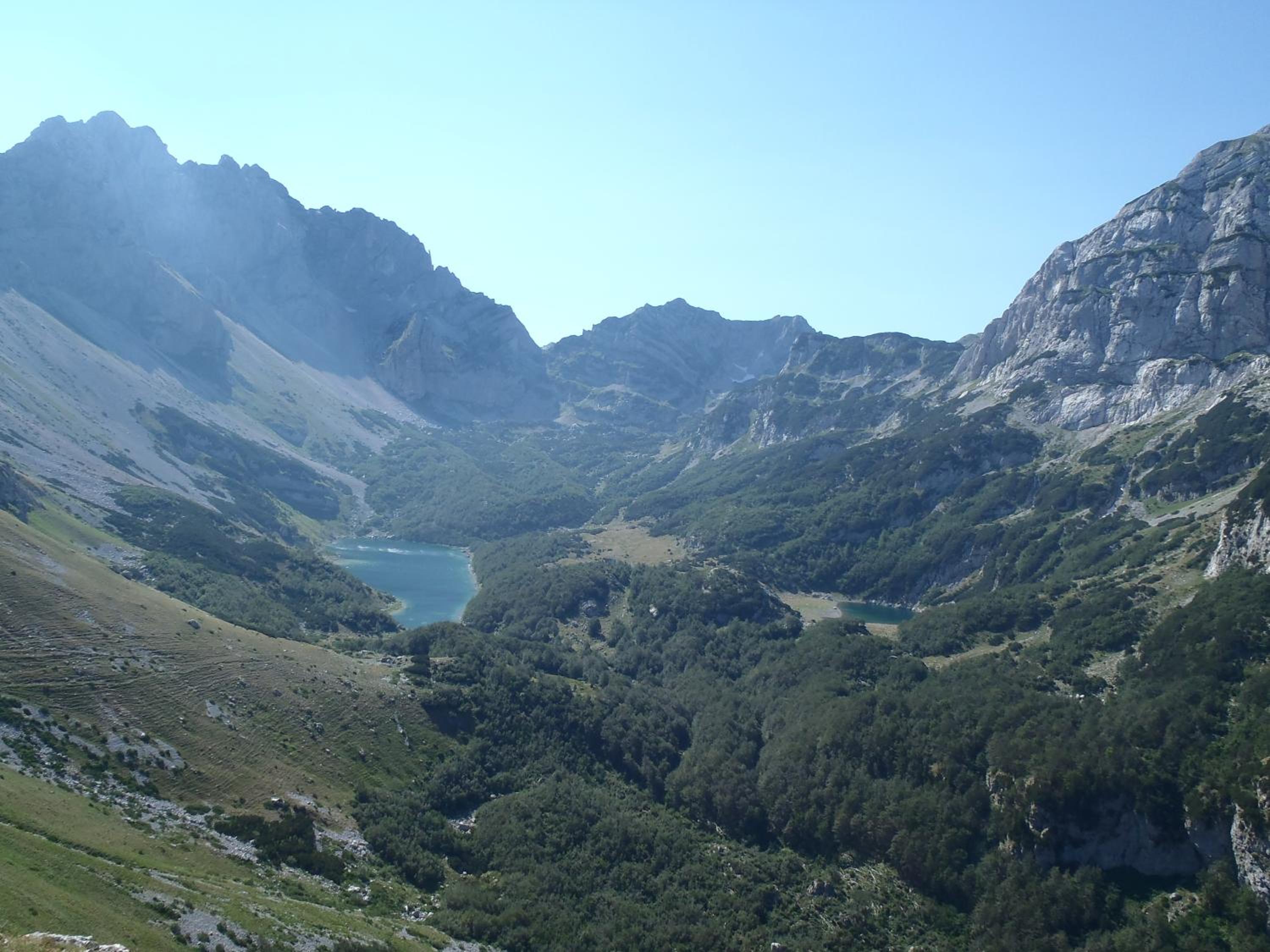 Photo 40