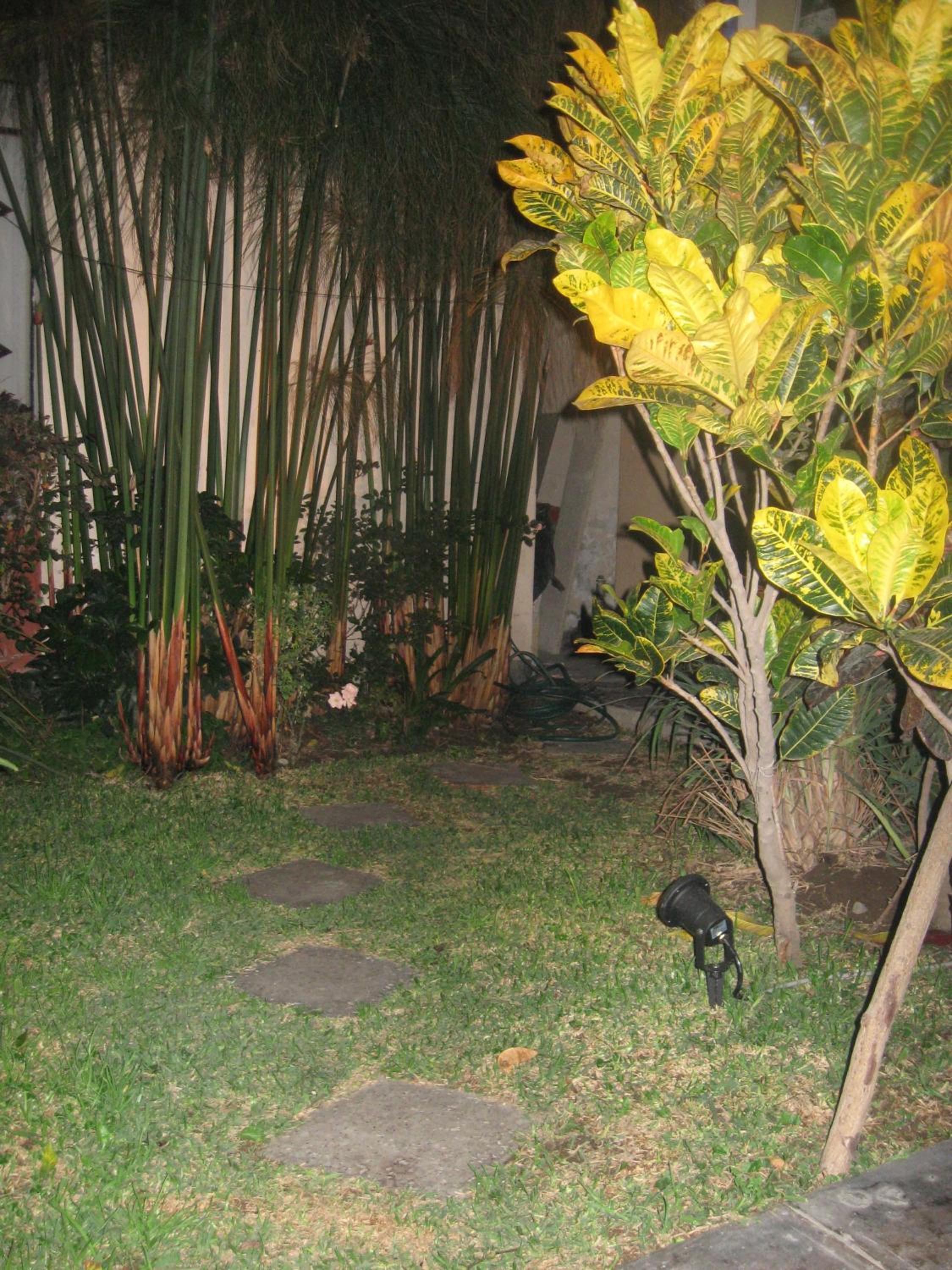 Photo 26