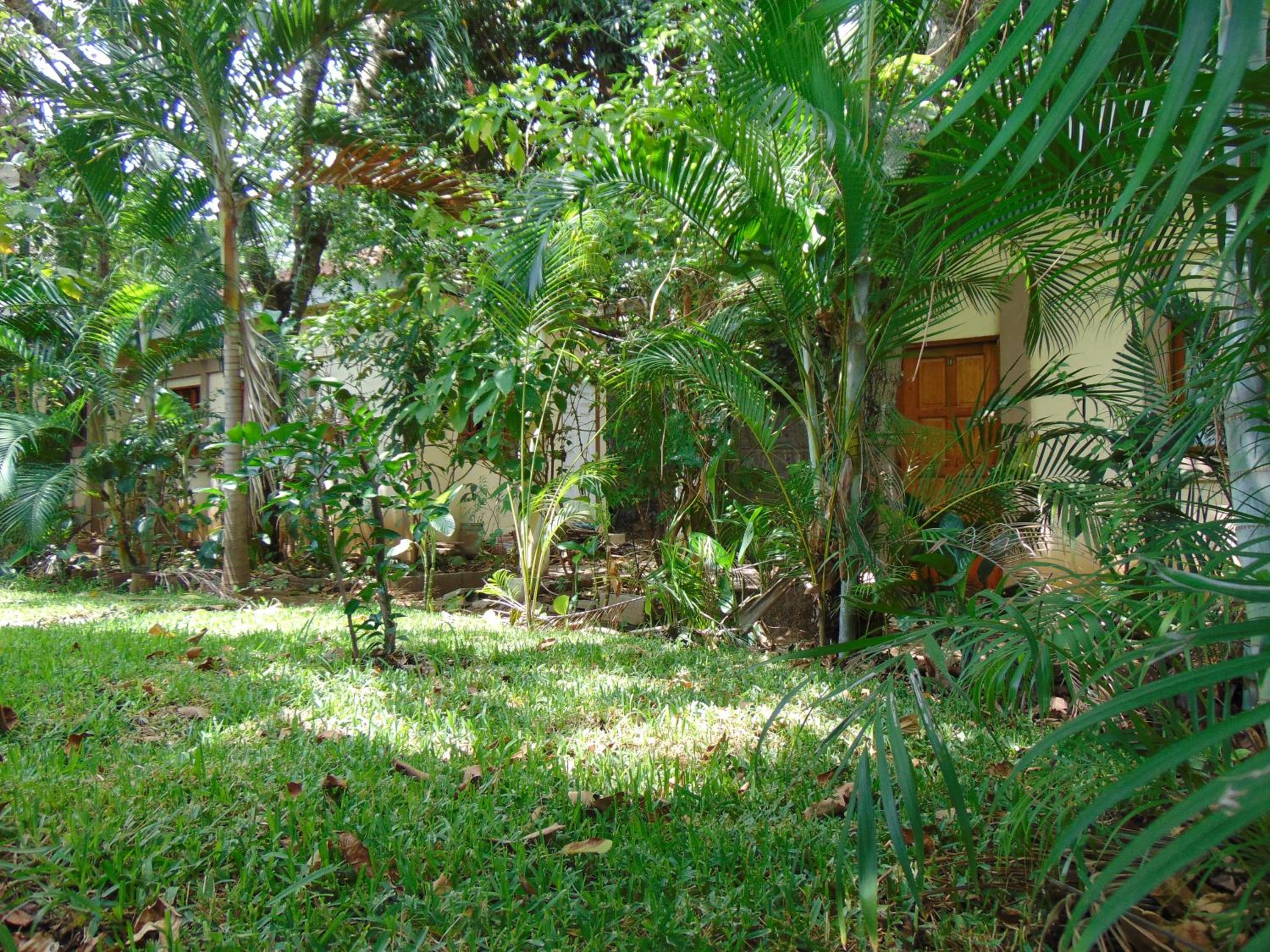 Managua Hills