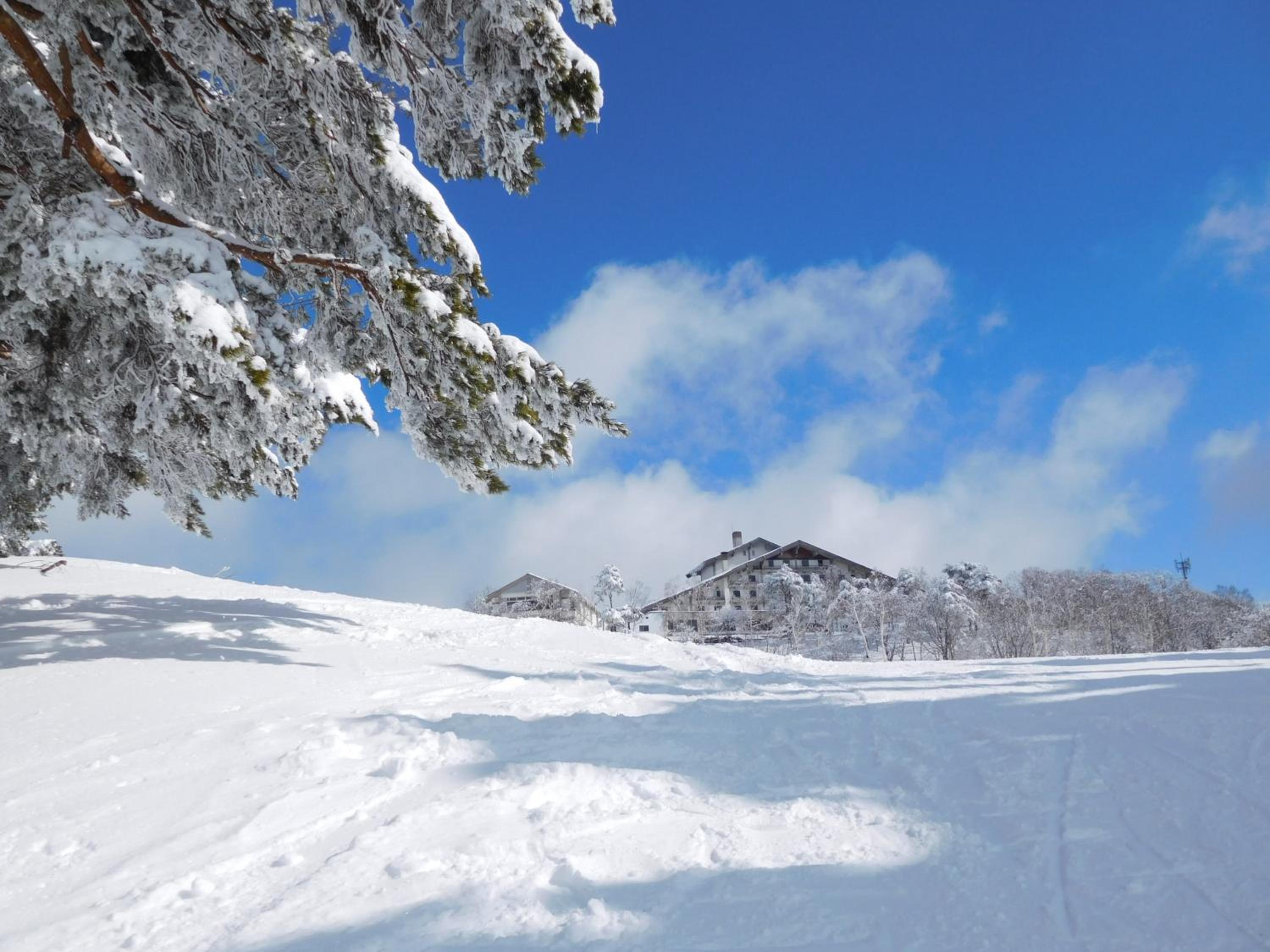 Madarao Elm Pension