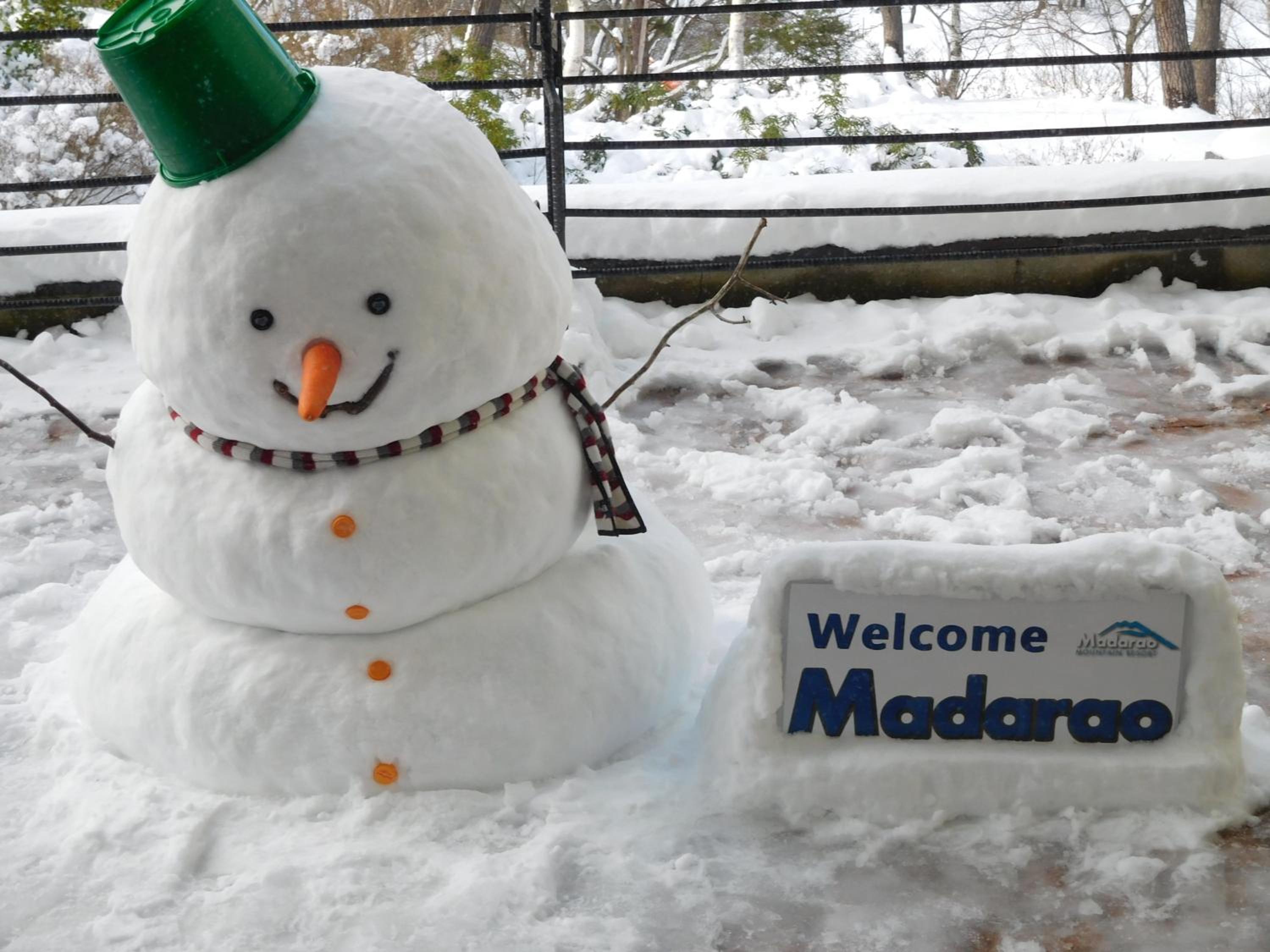 Madarao Elm Pension