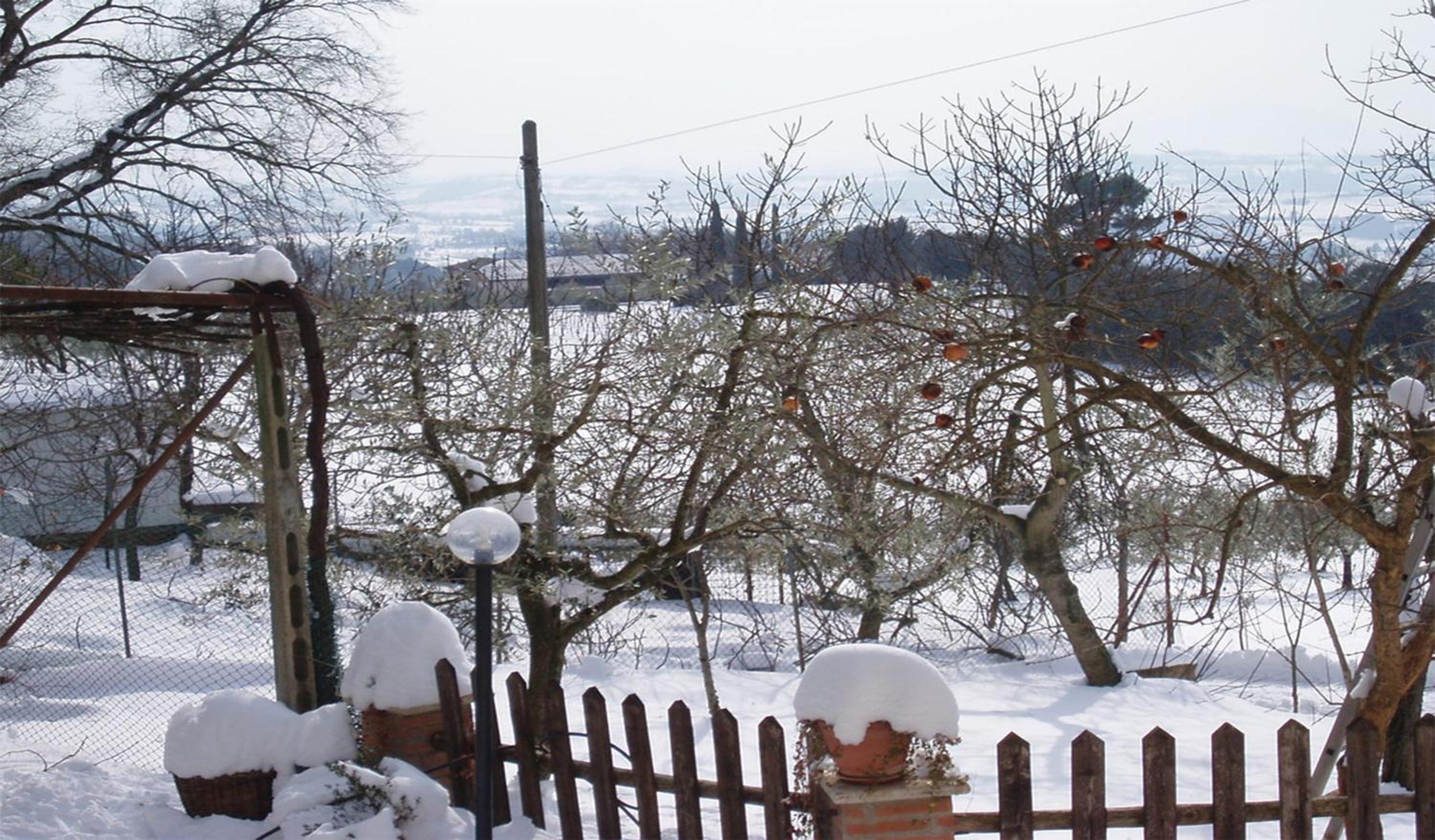 Belvedere Cramaccioli