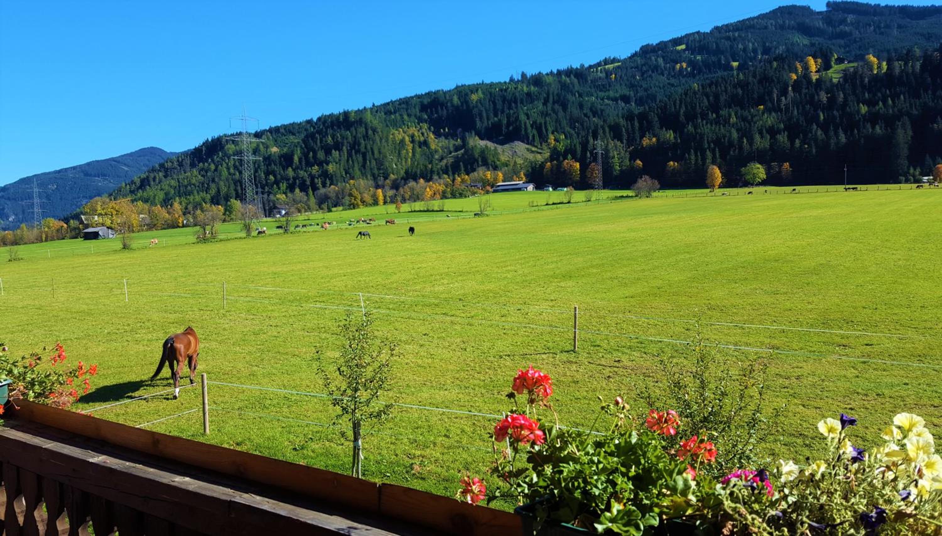 Gut Römerhof