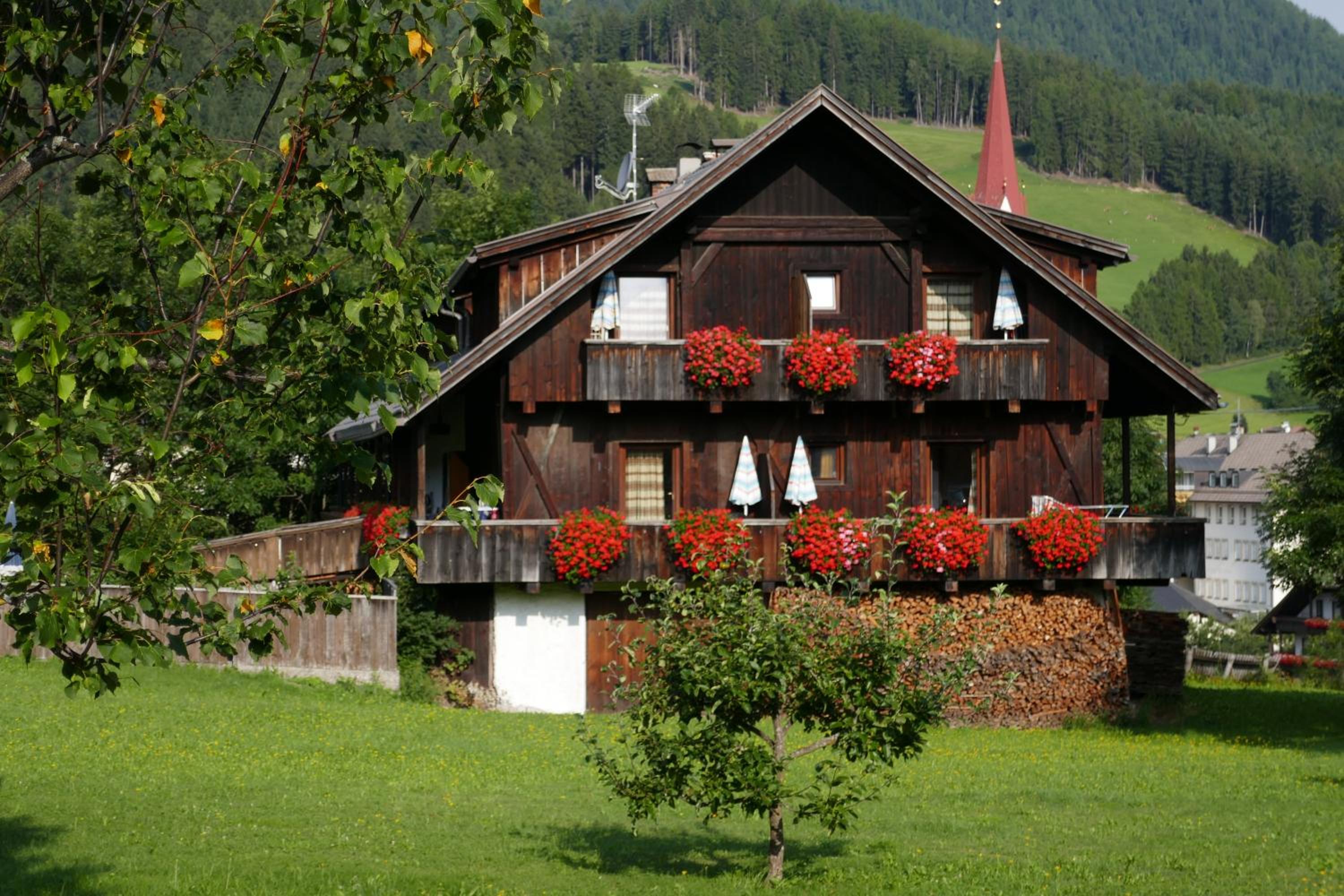 Photo 15