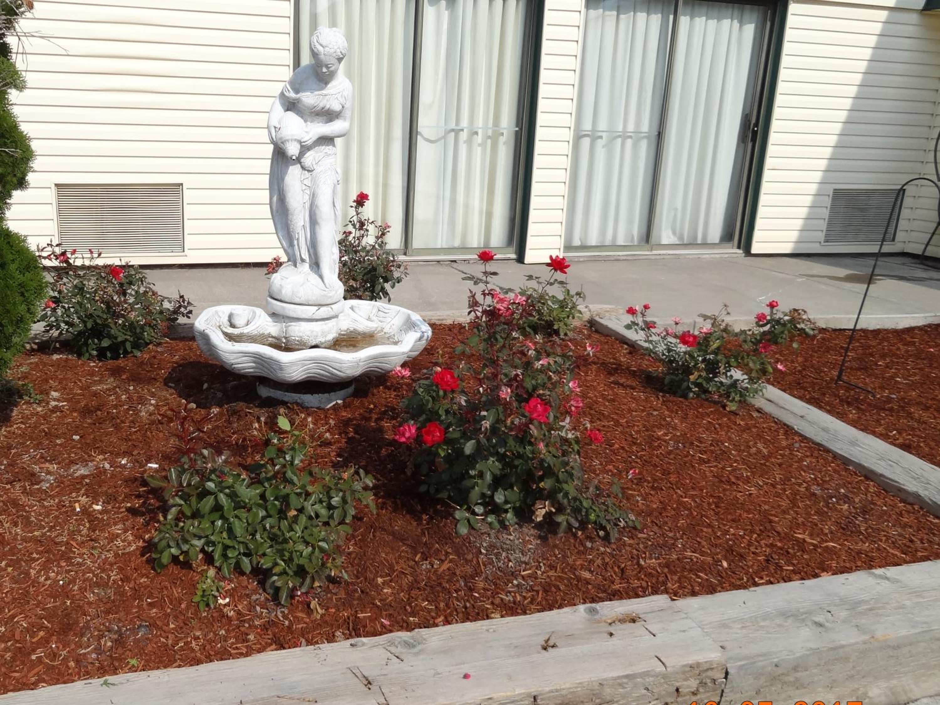 Photo 13