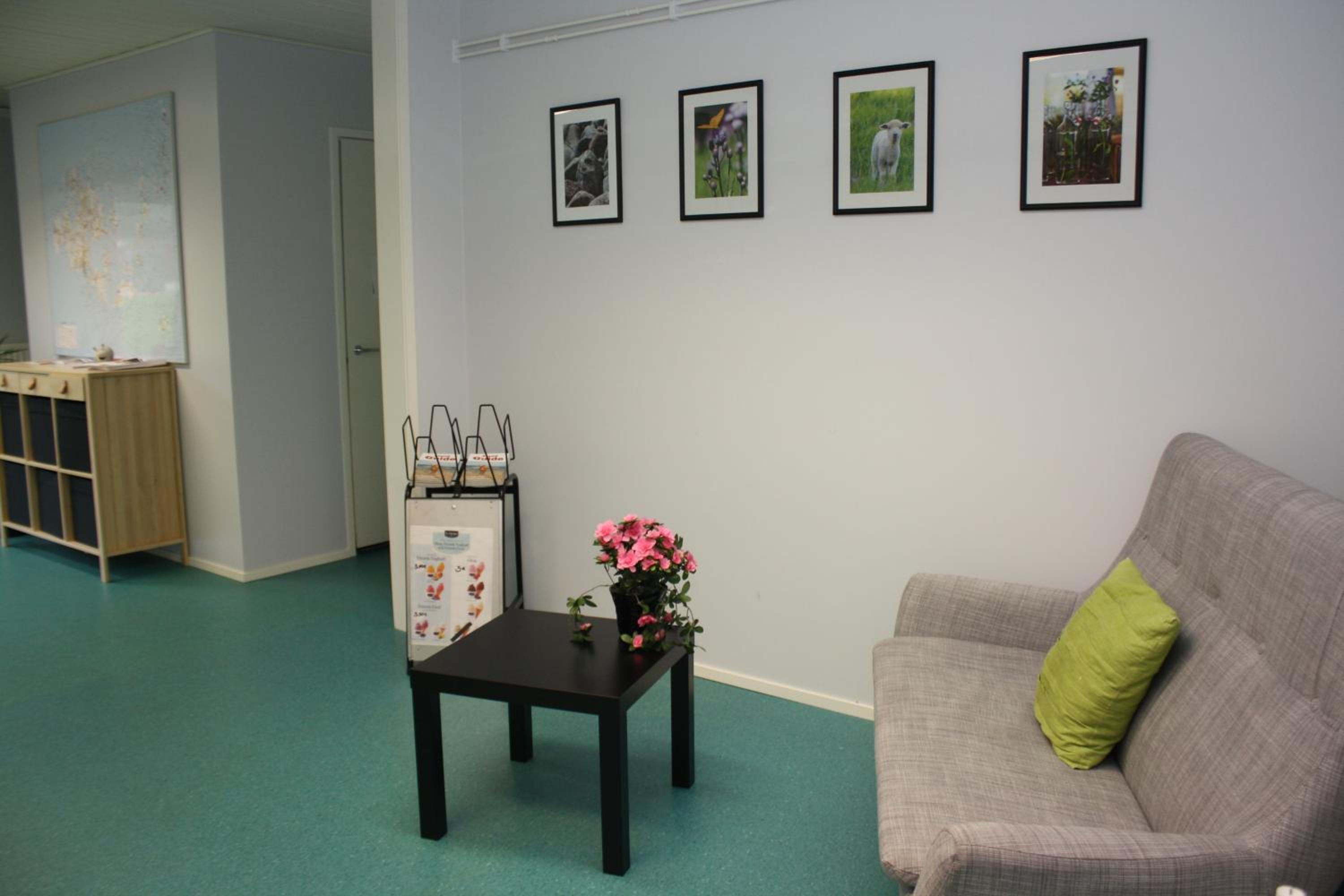Photo 12