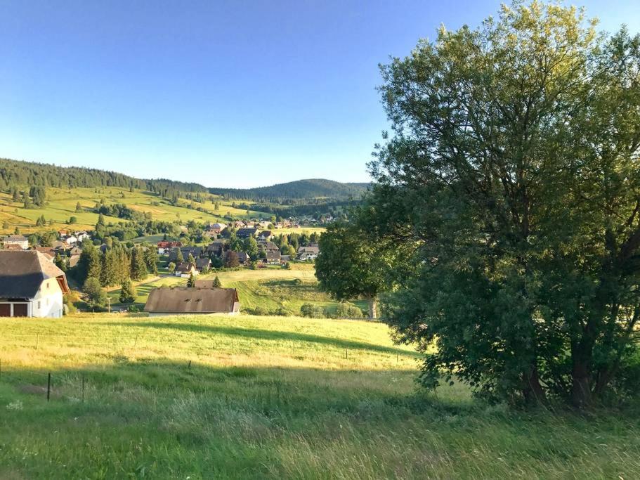 Echtes Schwarzwaldhaus - Traditionell & Modern