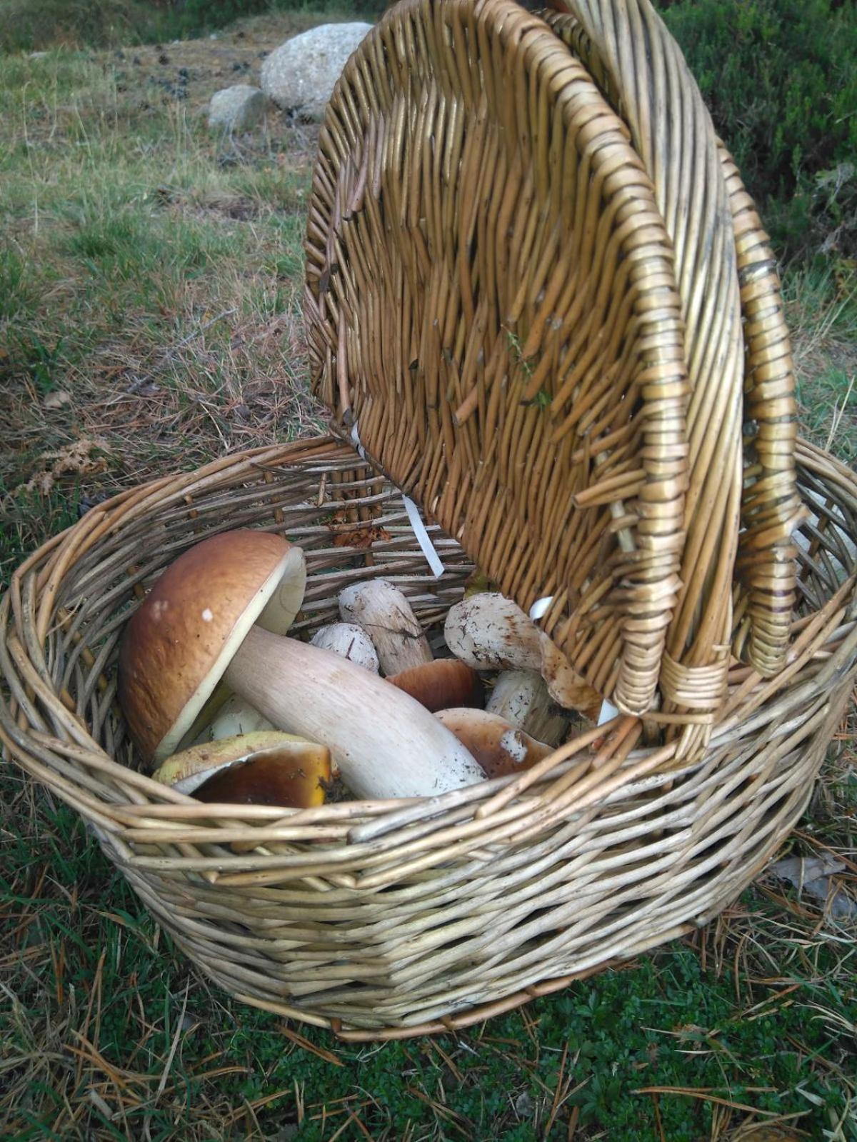 Photo 41