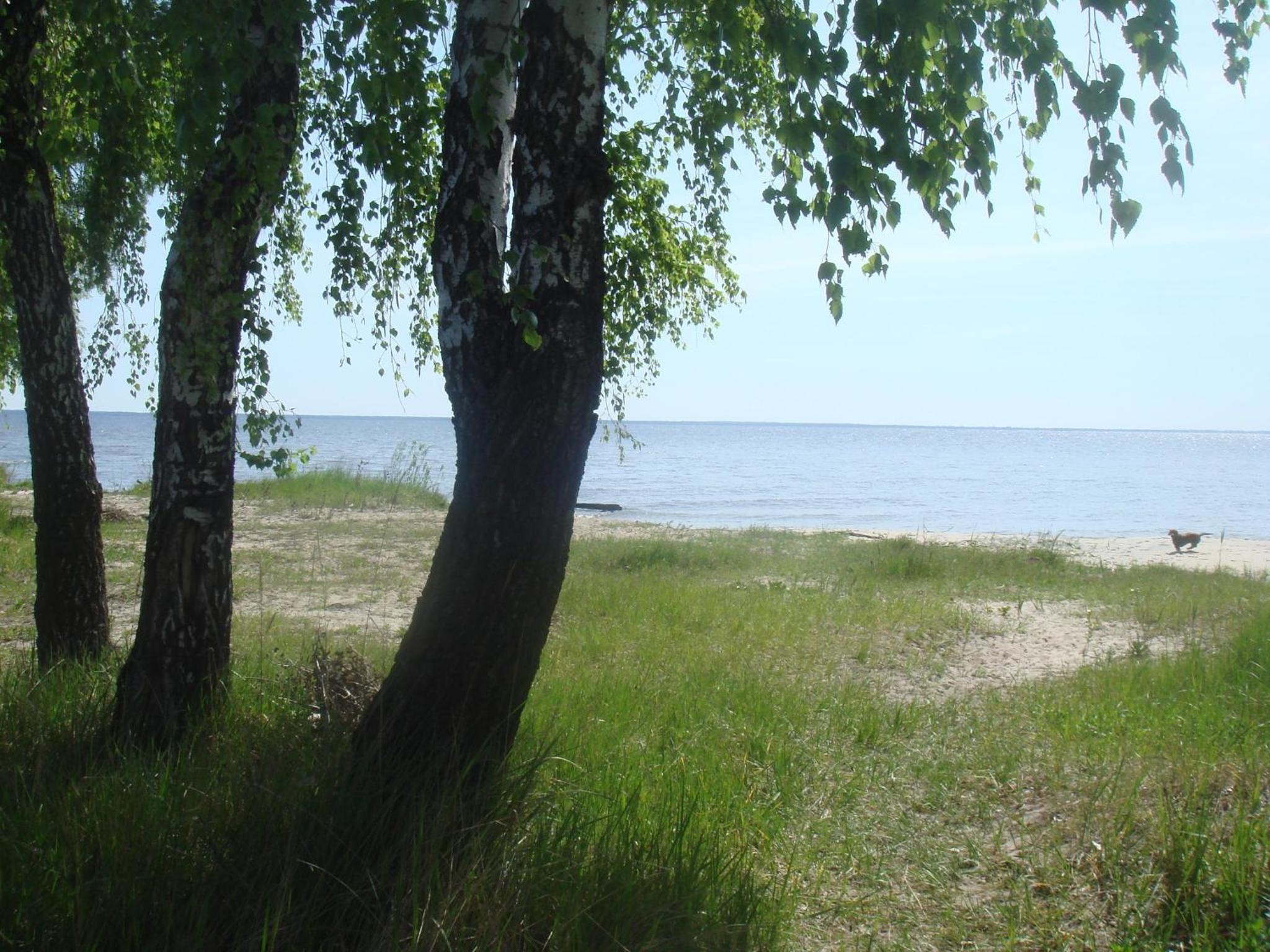 Photo 30