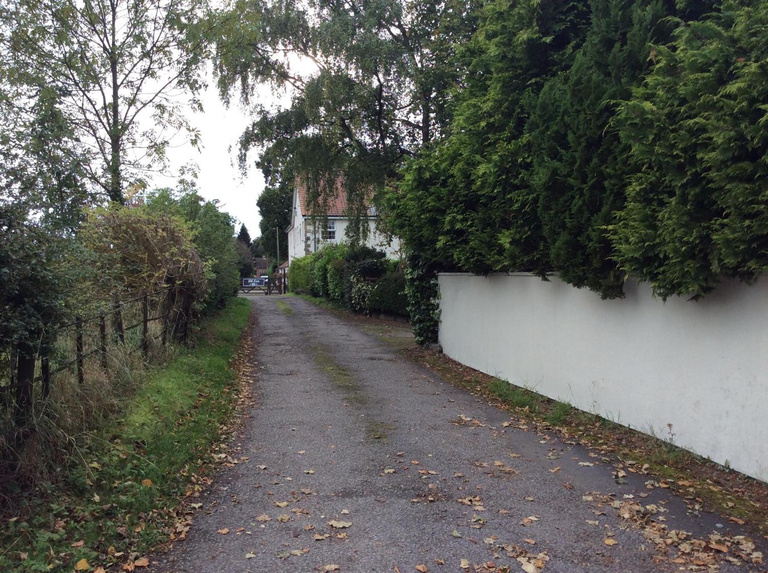 Photo 11