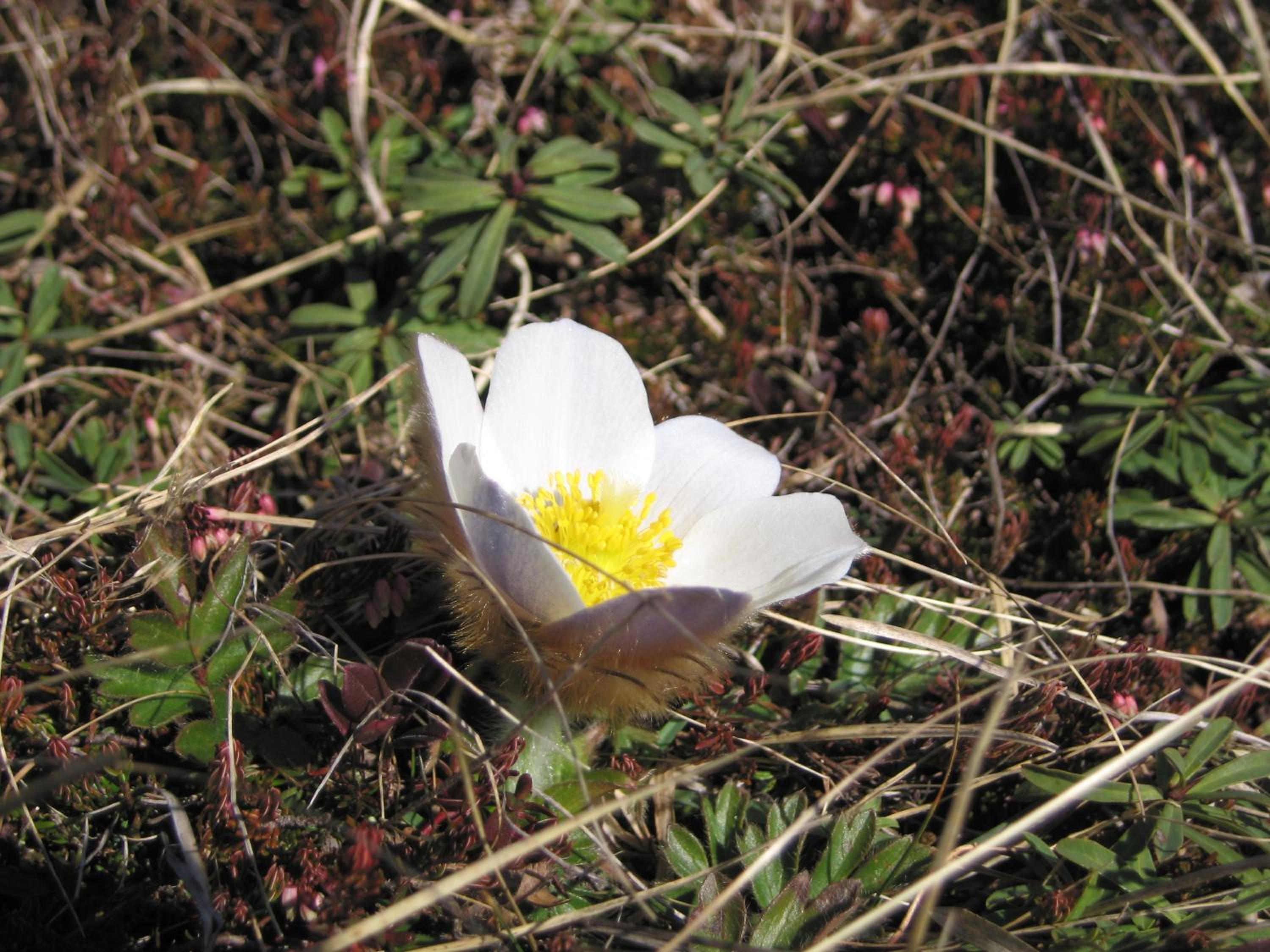 Photo 35