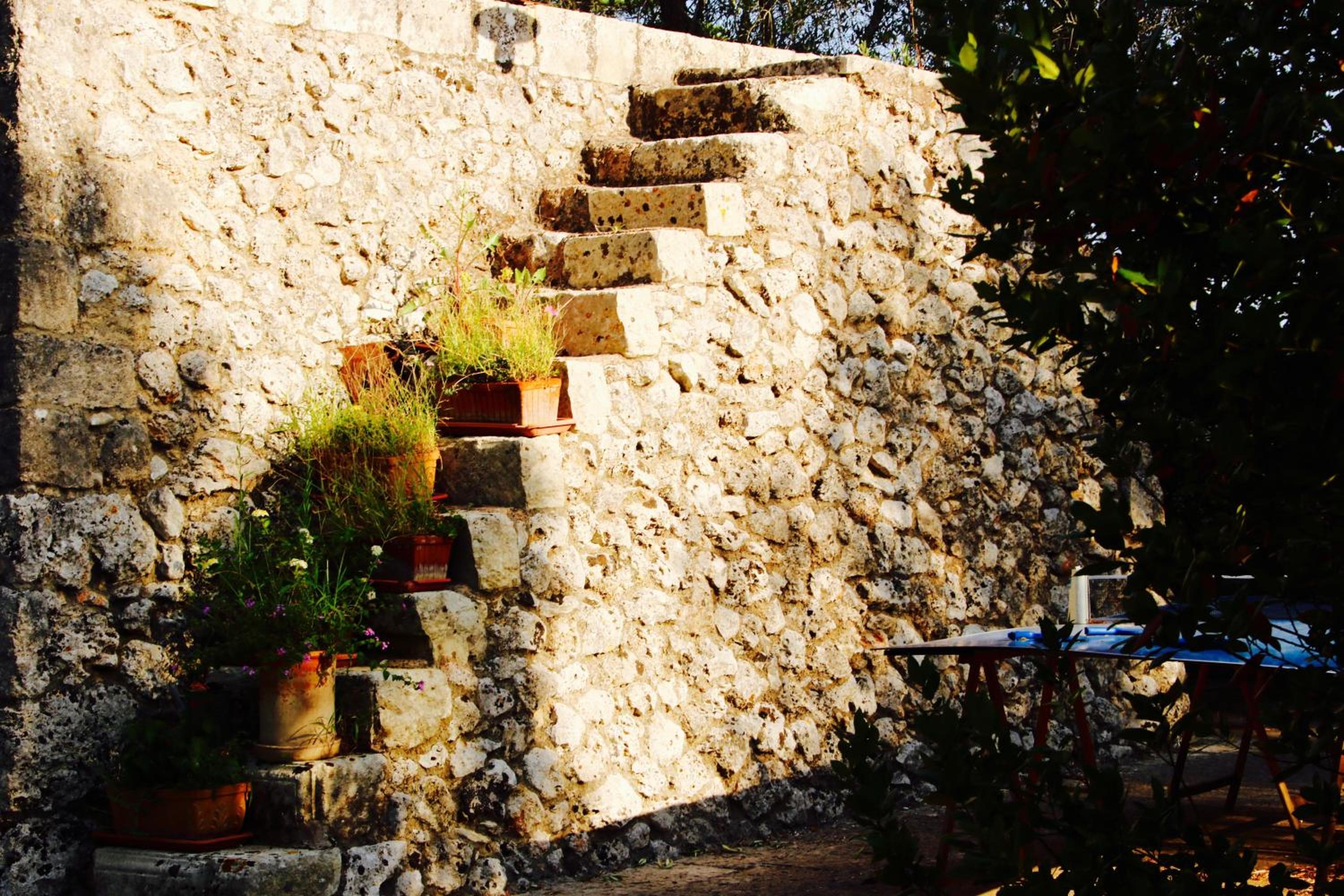 Tenuta Le Crie