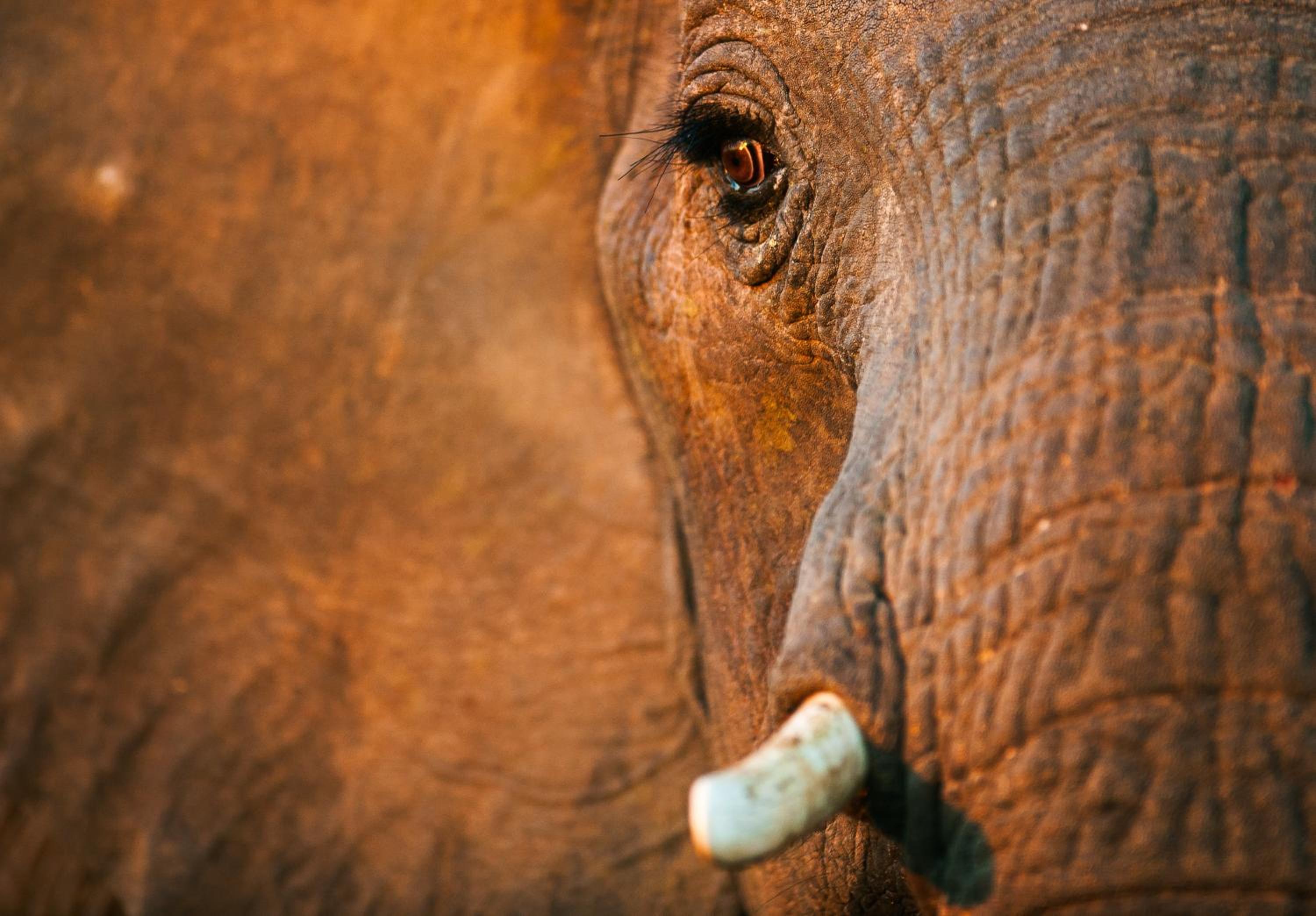 Pondoro Game Lodge — photo 26