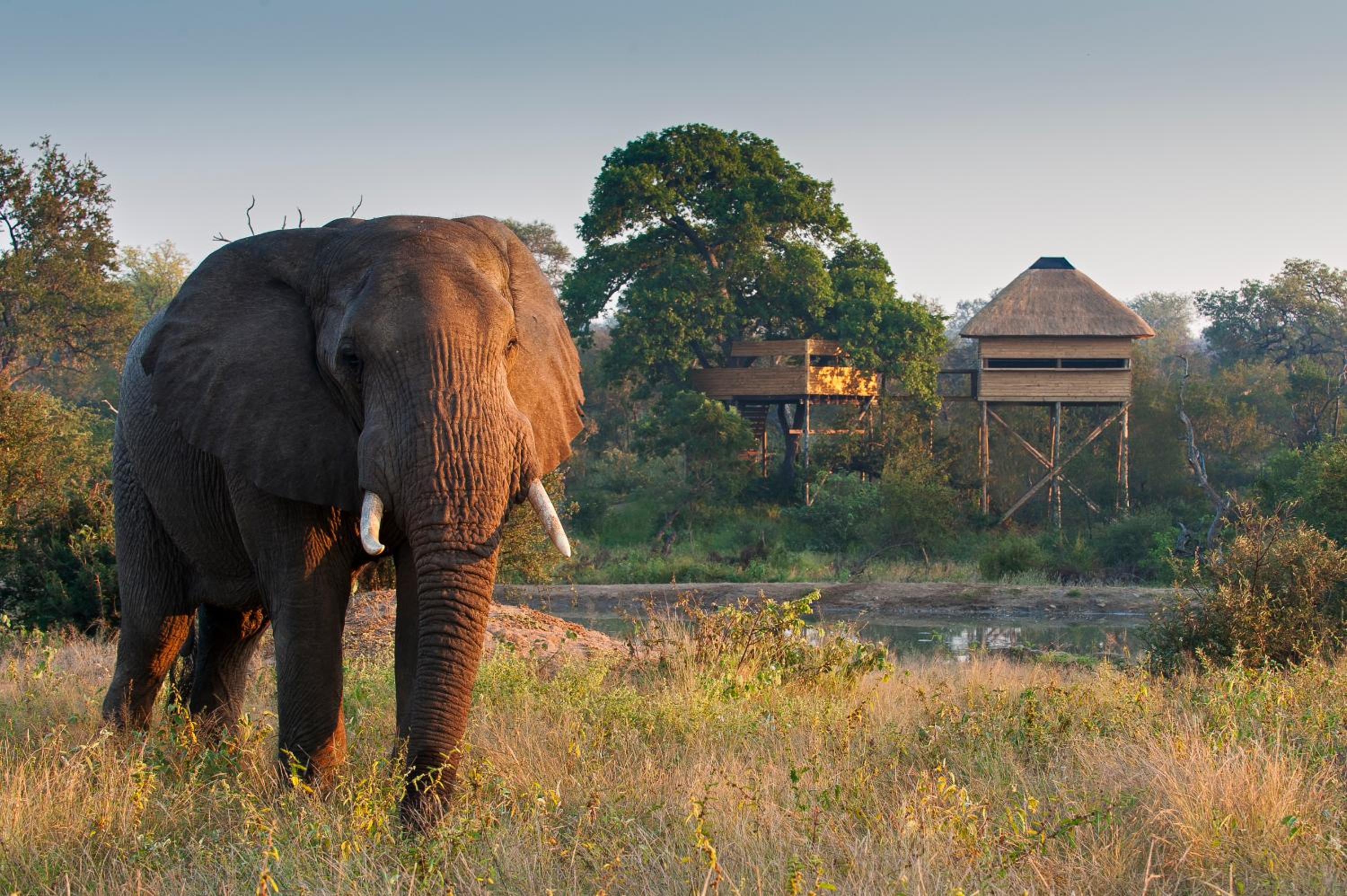 Pondoro Game Lodge — photo 14