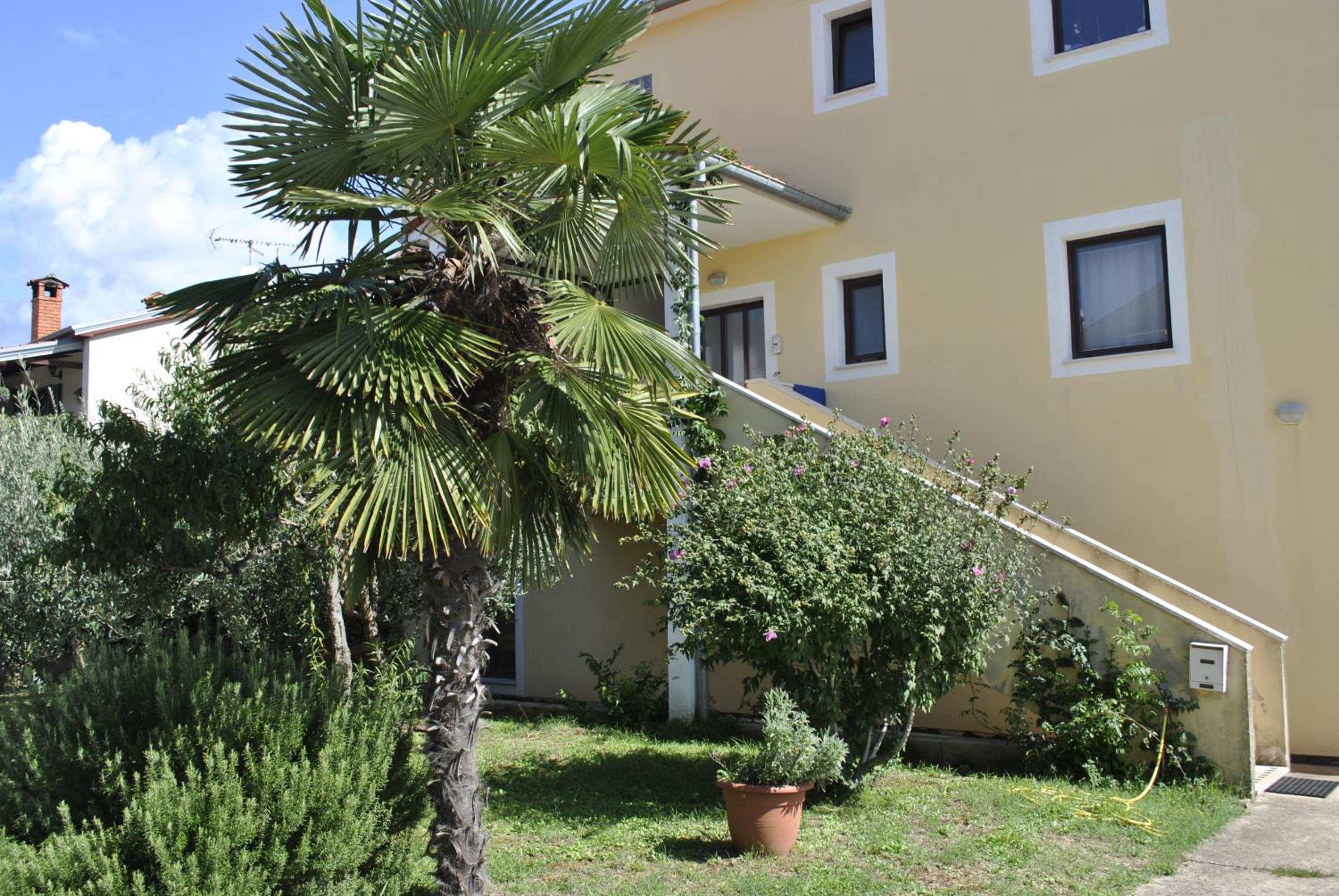 Apartman Lamanova
