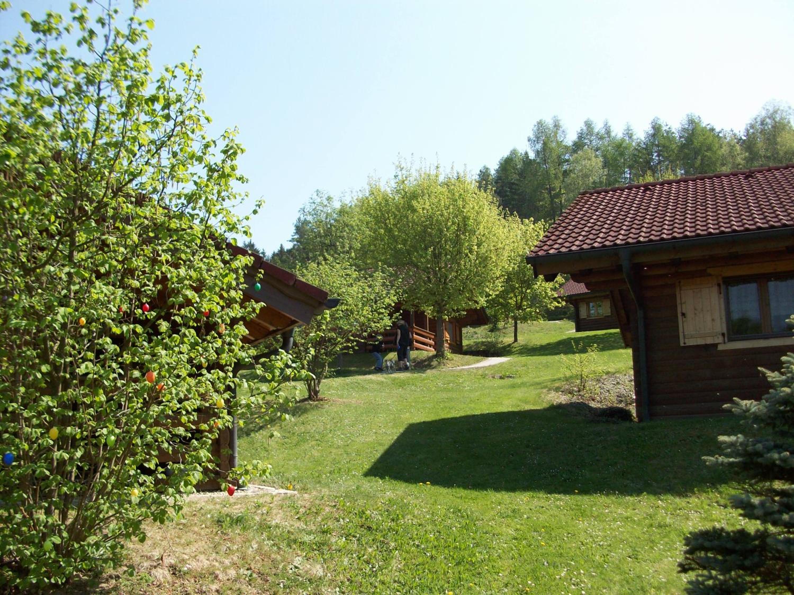 Photo 8