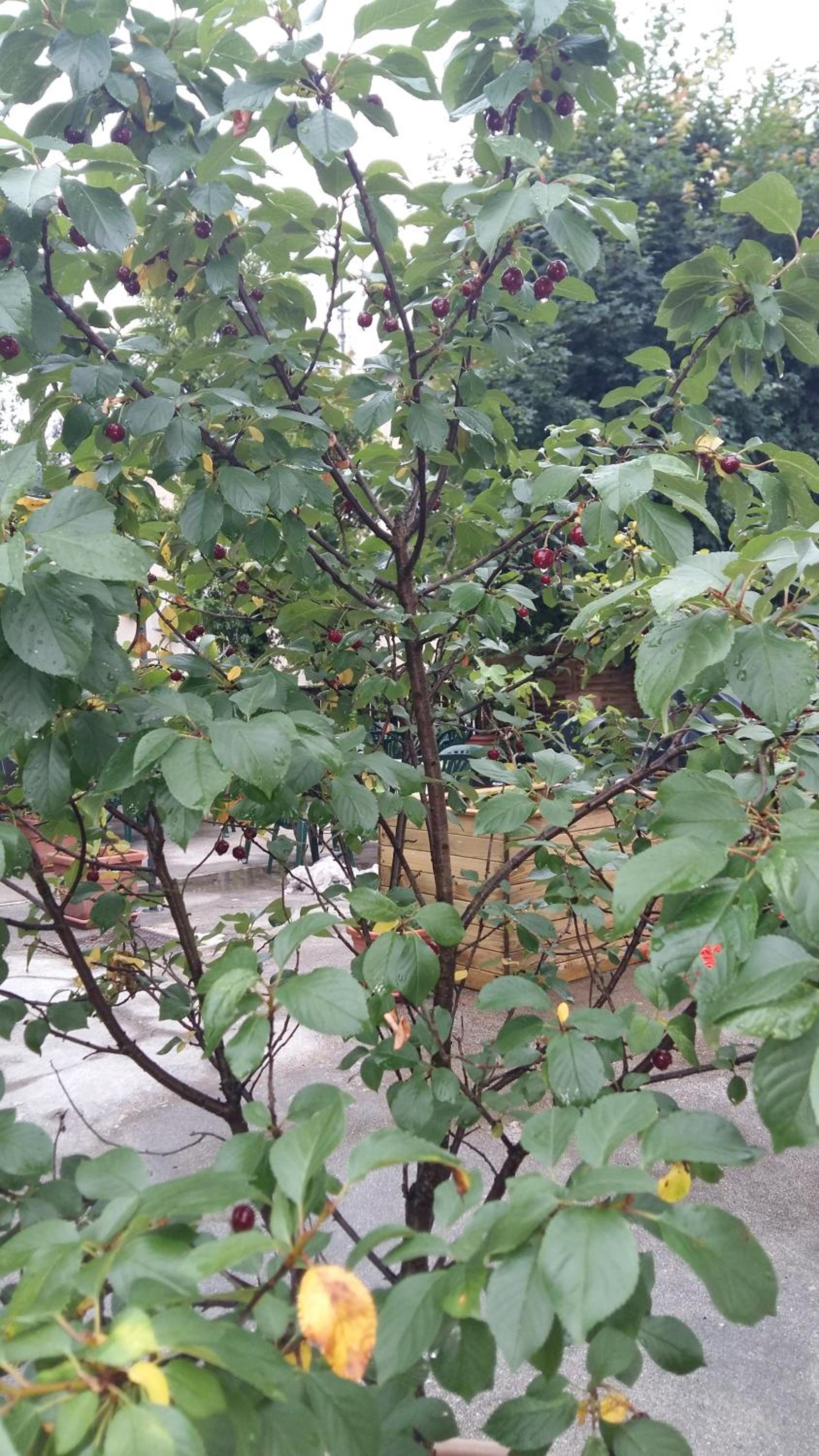 Photo 22