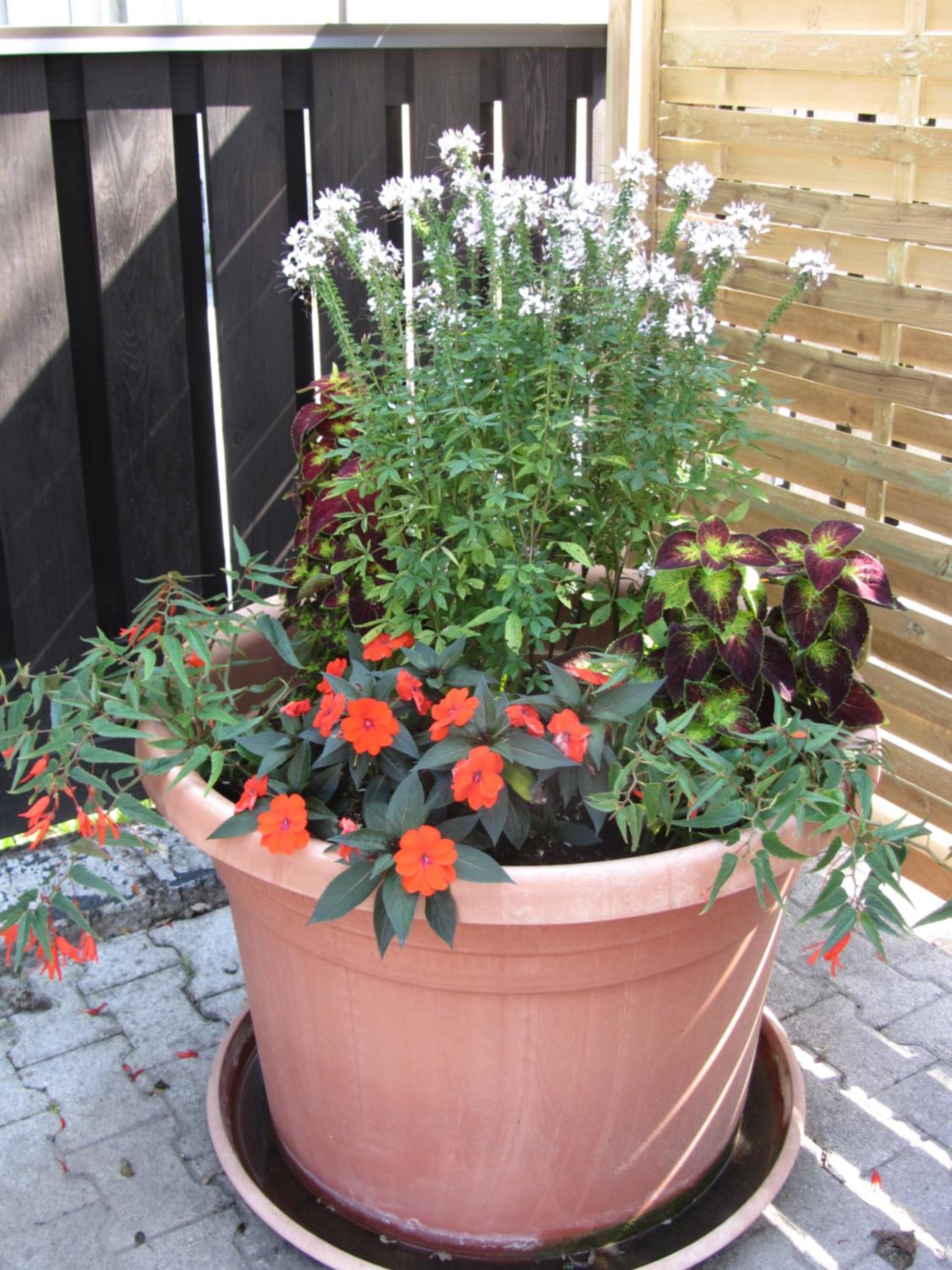 Photo 21