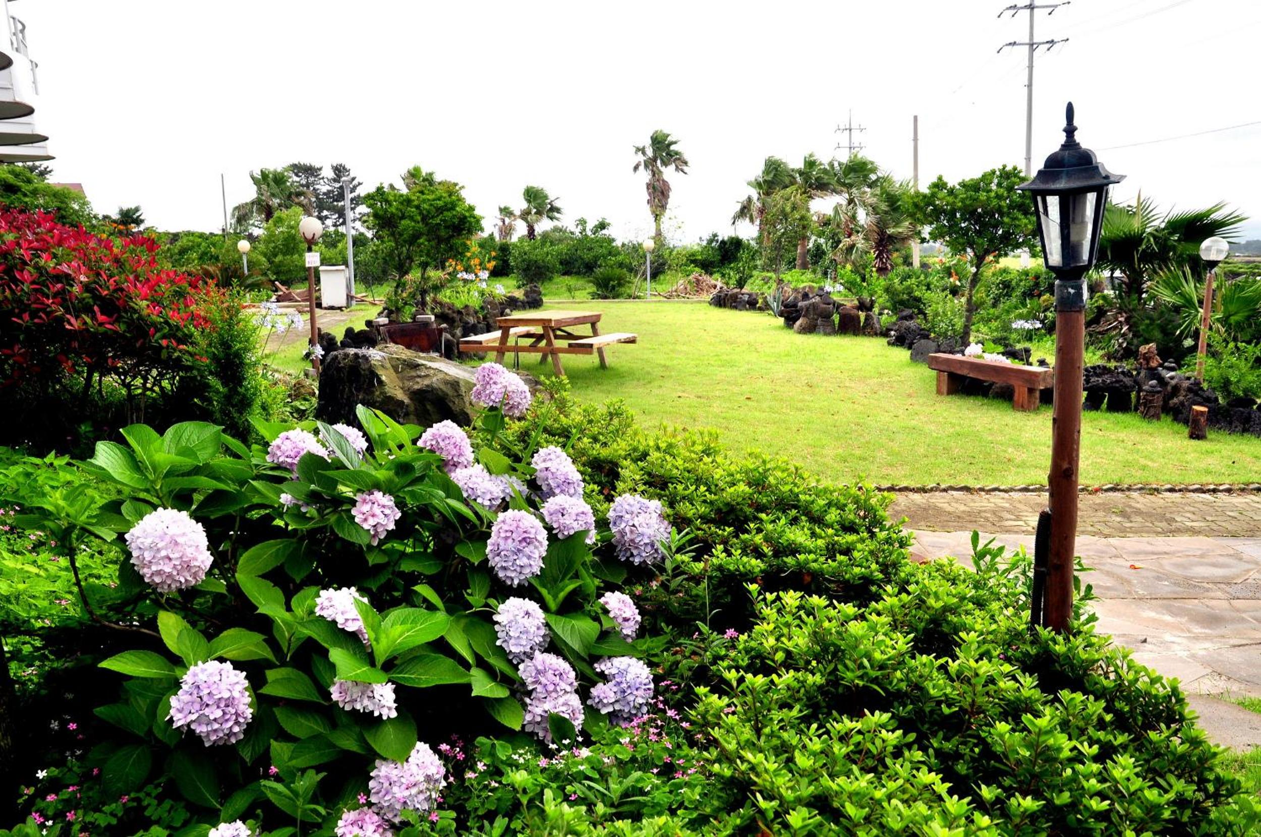 Jeju Hill Tower Pension