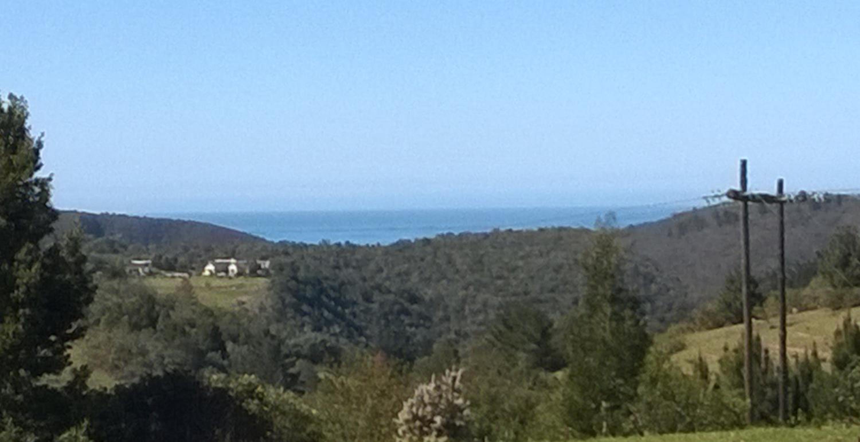 Green Hills Forest Lodge