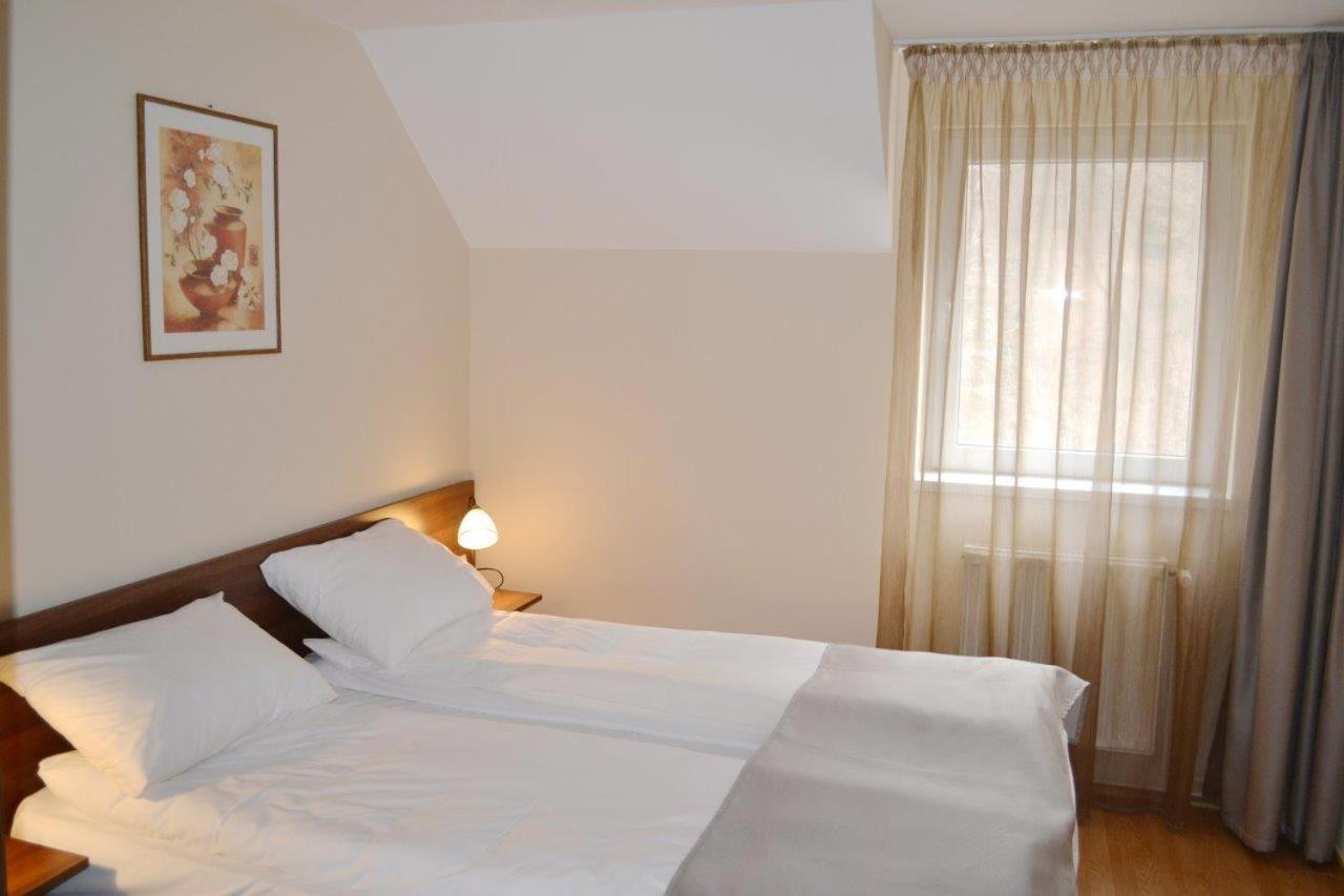 Casa Retezat view 5