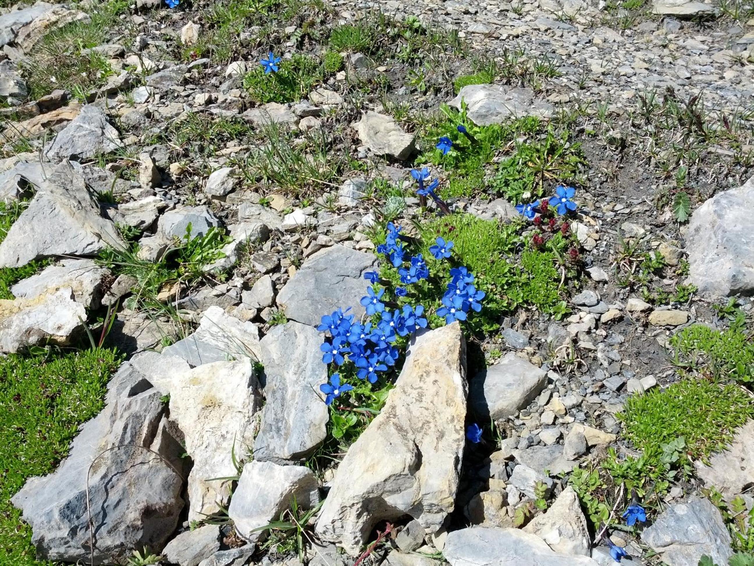 Photo 32