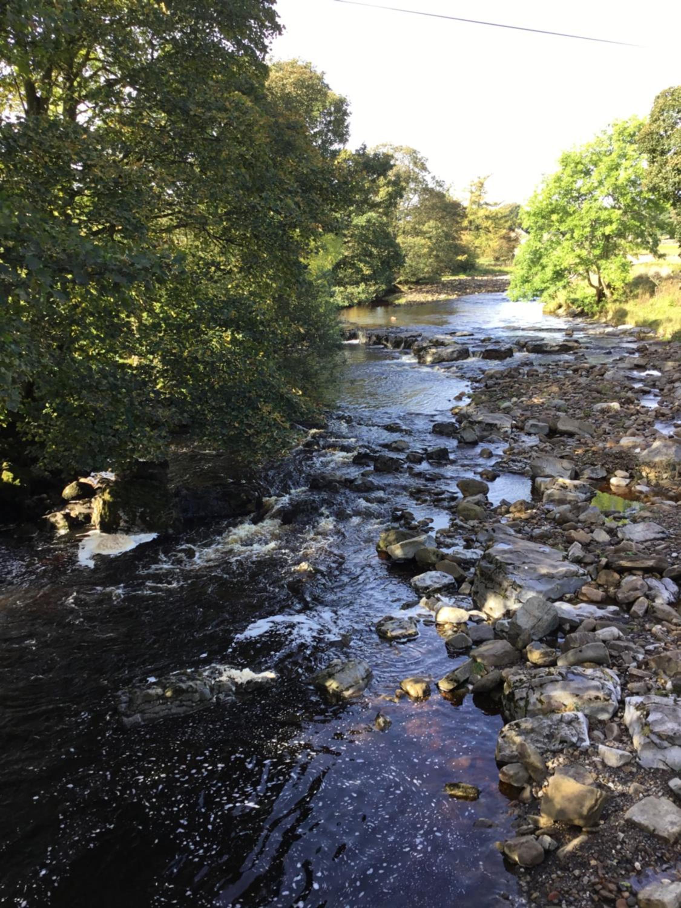 Photo 47