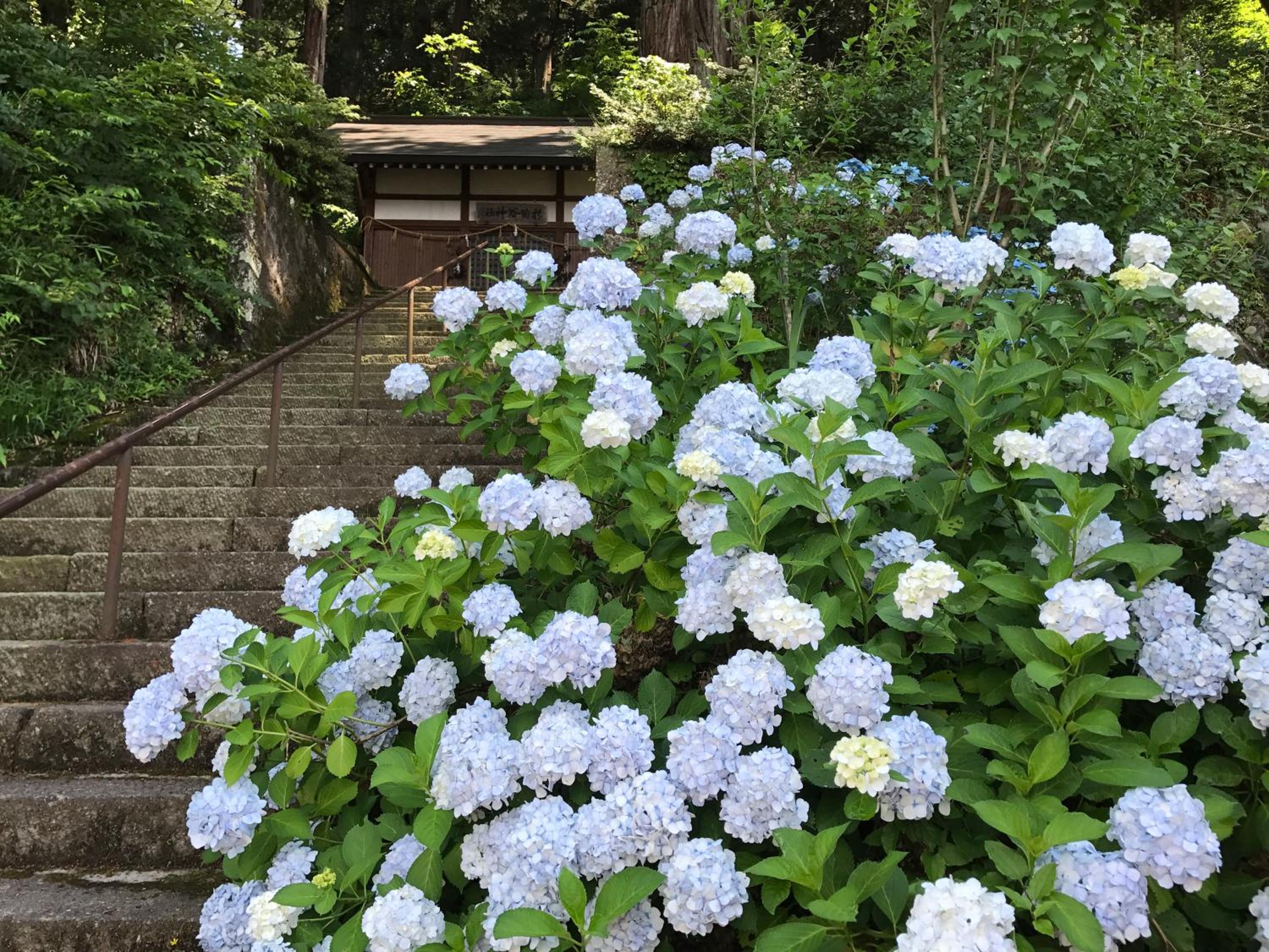 Takayama Ninja House