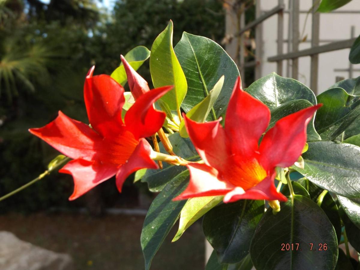 Photo 28