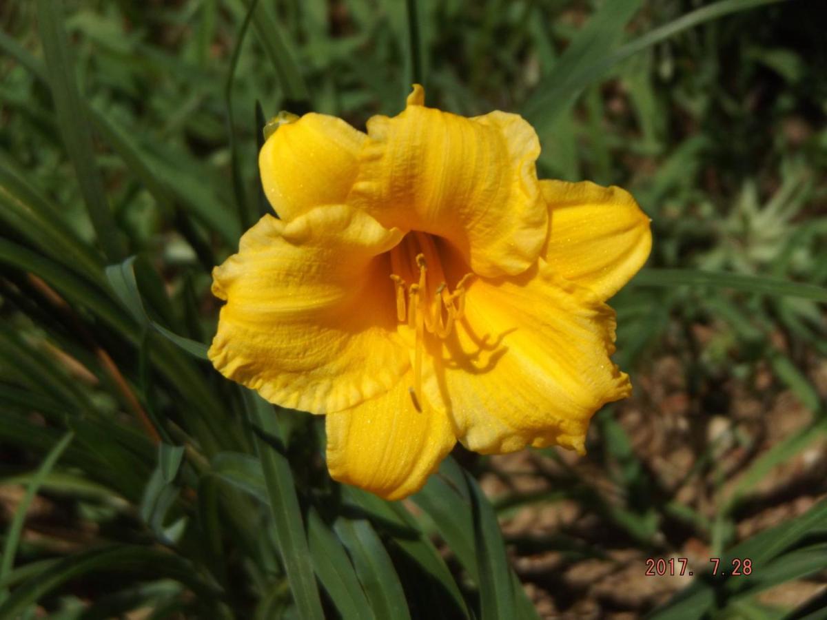 Photo 25