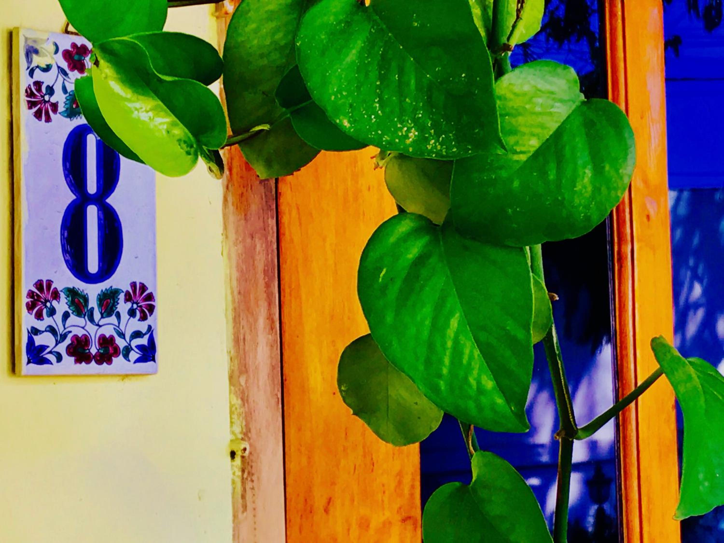 Photo 42