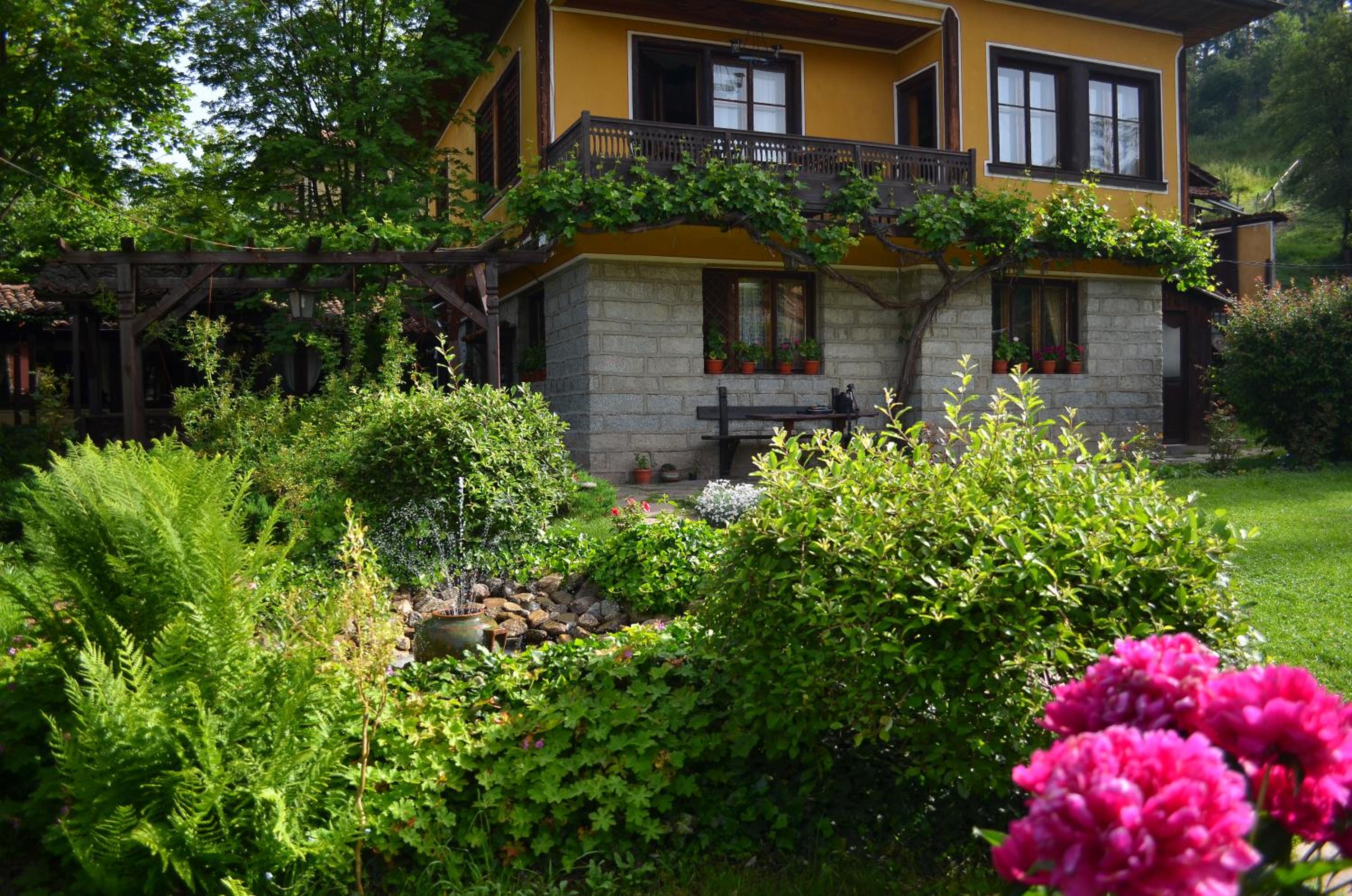 Dona Guest House - Horse Riding