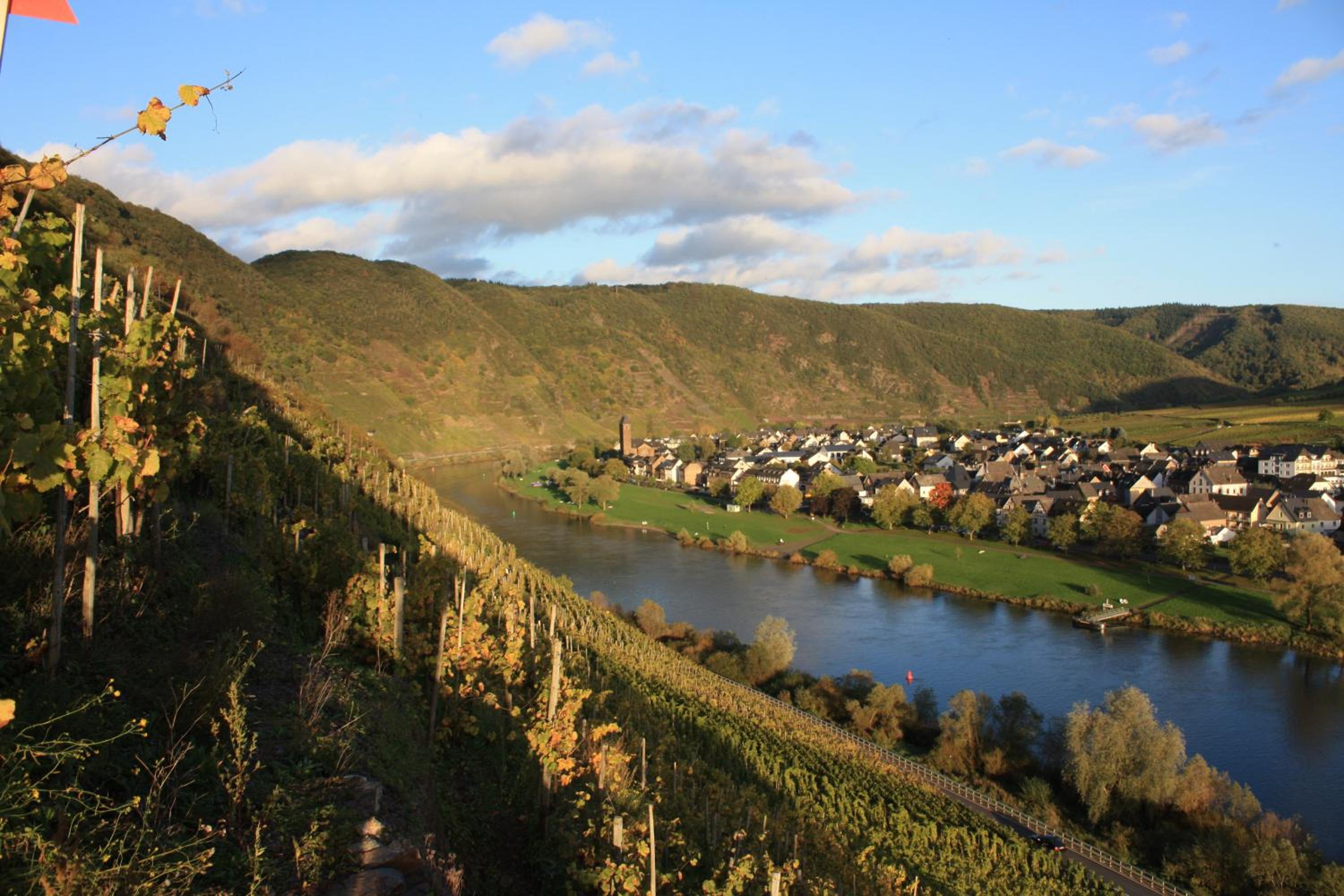Weinbergs Loge, Kuva 124