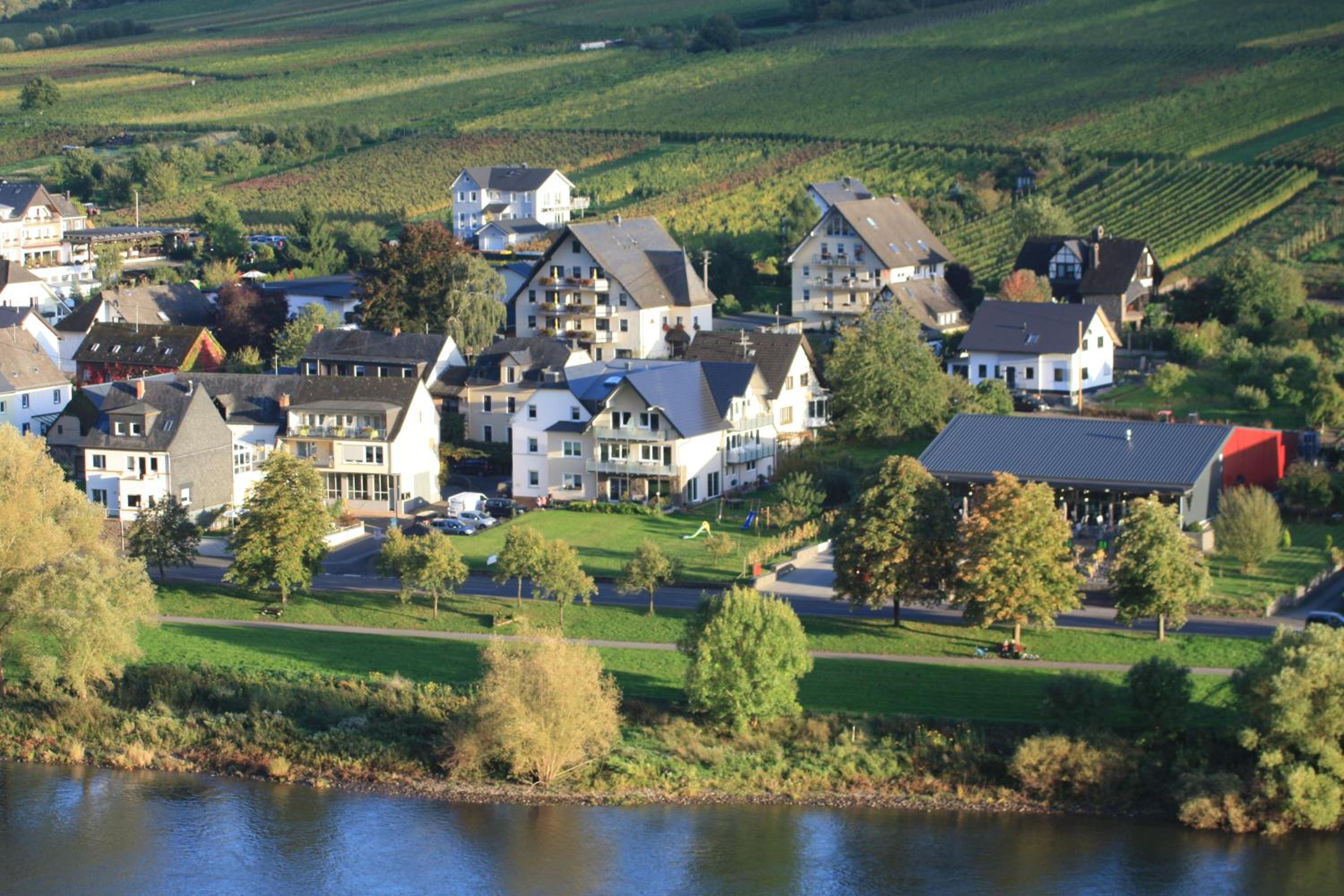 Weinbergs Loge, Kuva 95