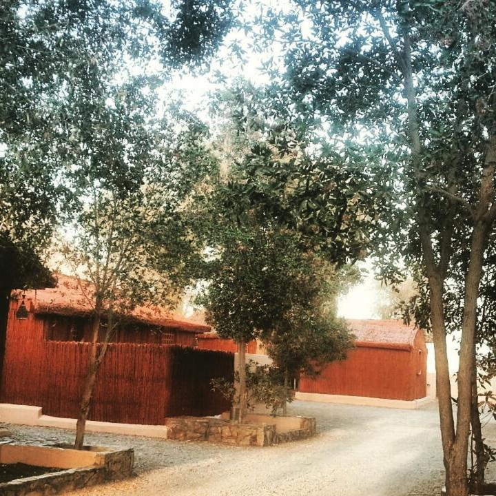 Noor Majan Camp