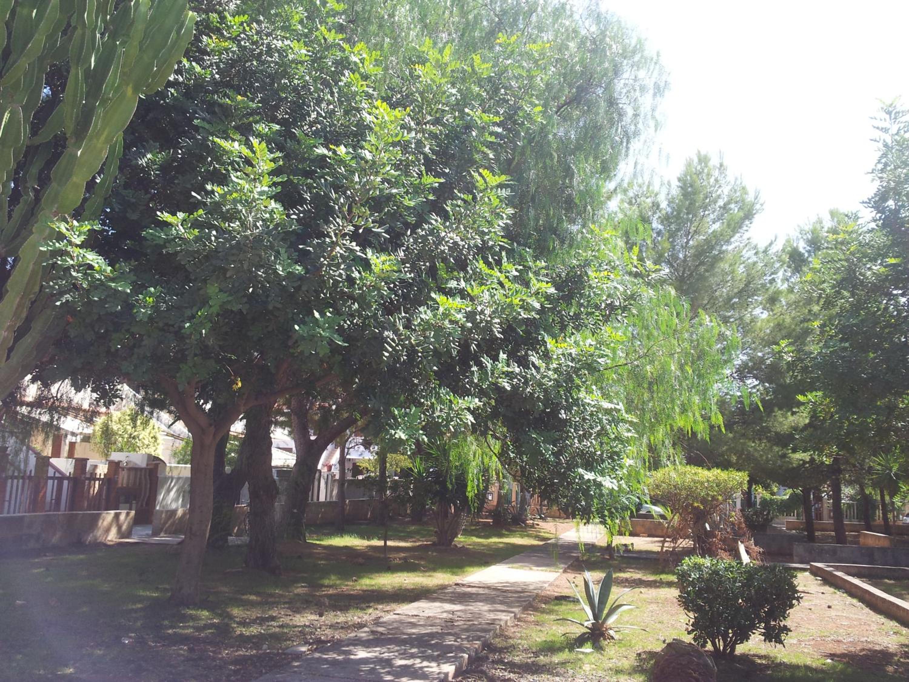Photo 20